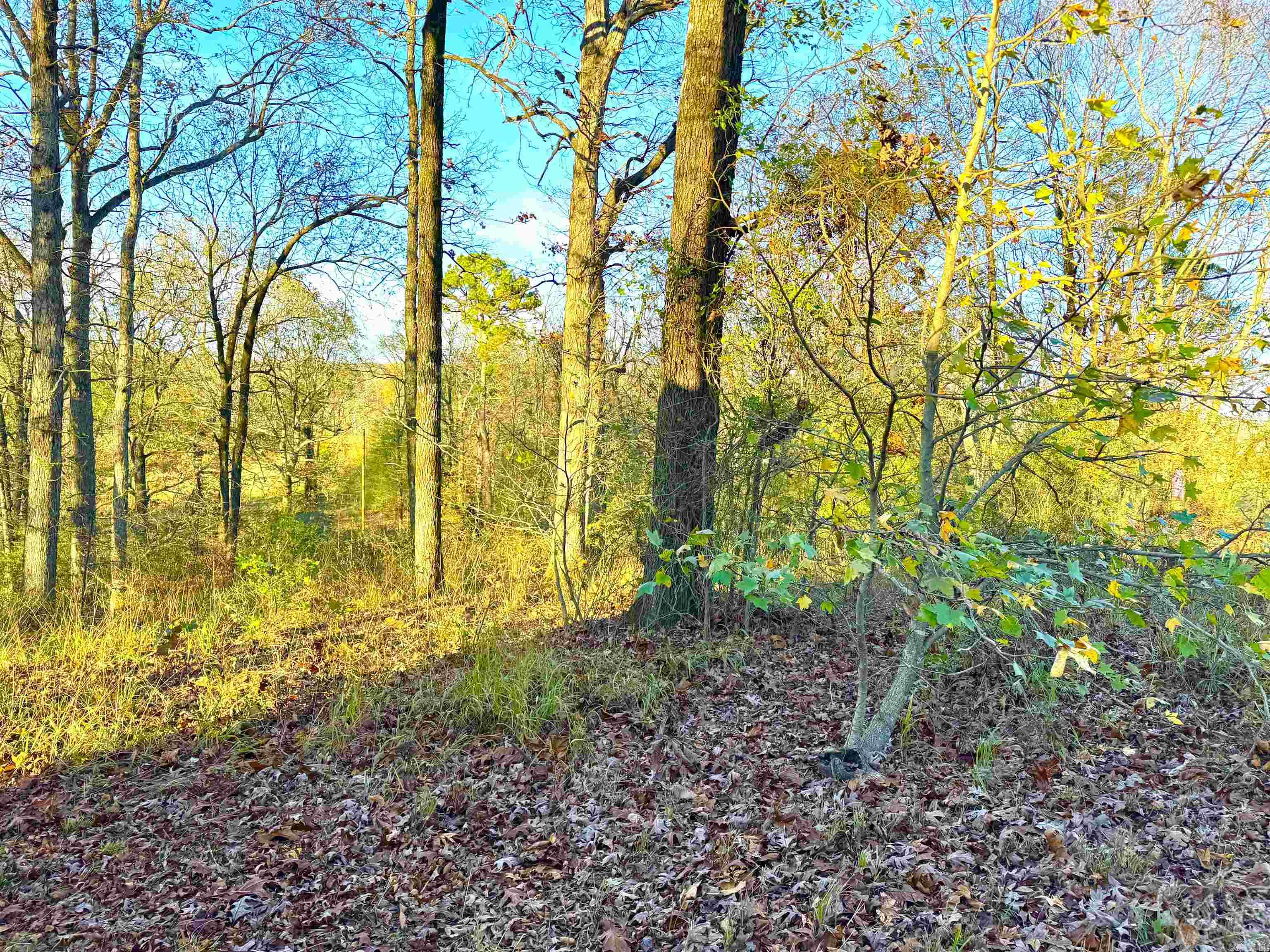Xxx Hwy 84 Property Photo 45