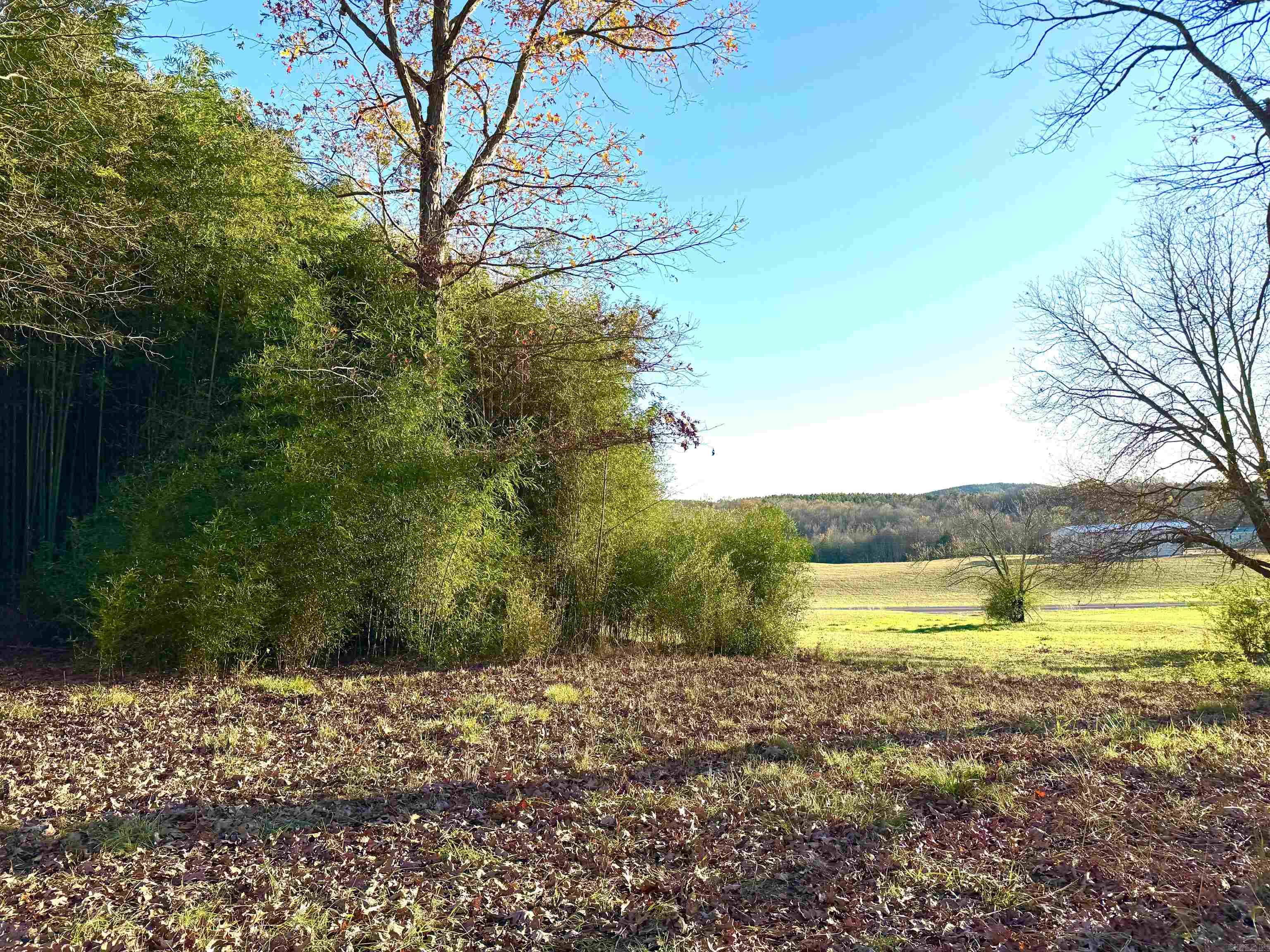 Xxx Hwy 84 Property Photo 49