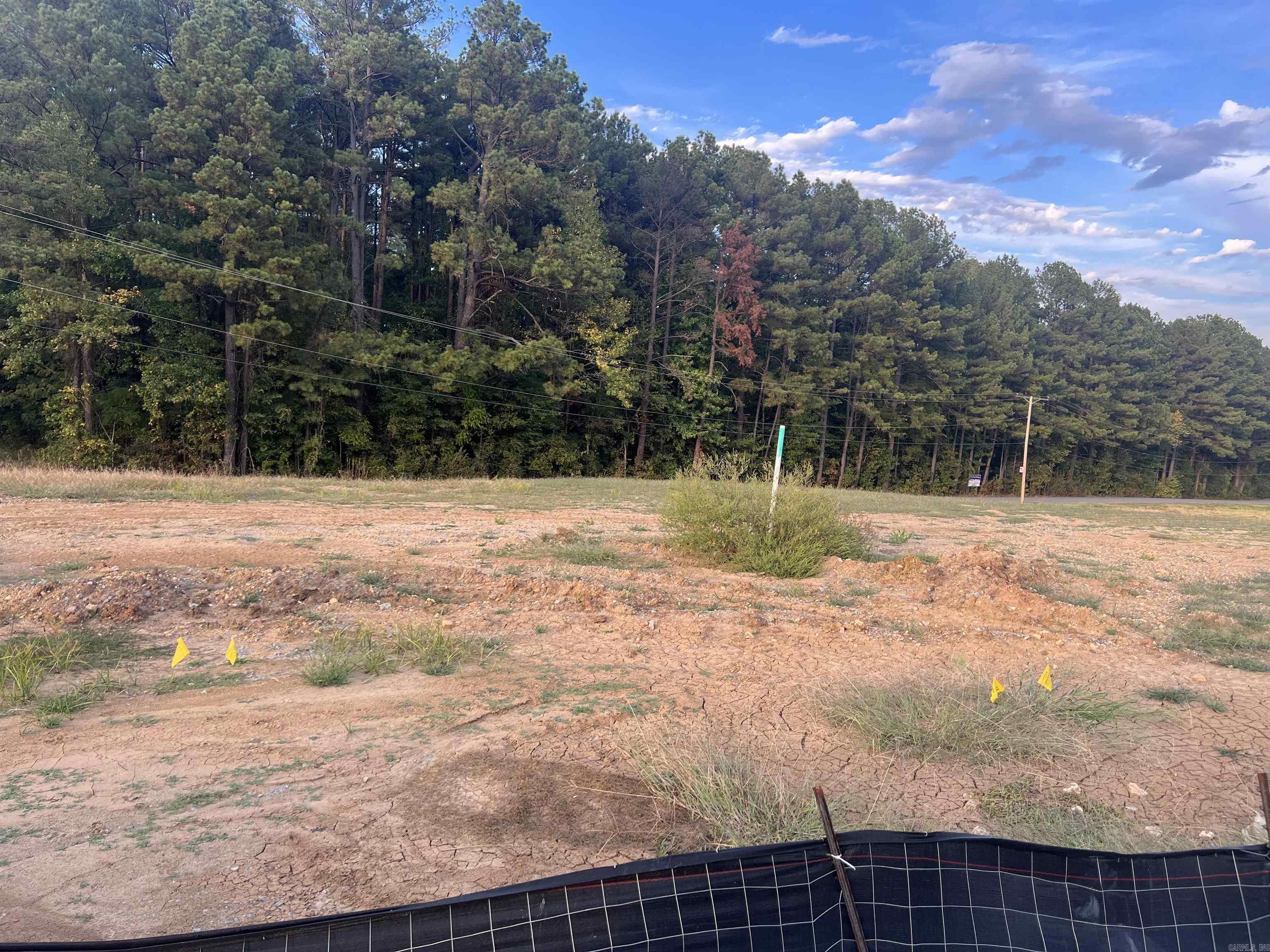 Lot 91 Harmony Village Property Photo 3