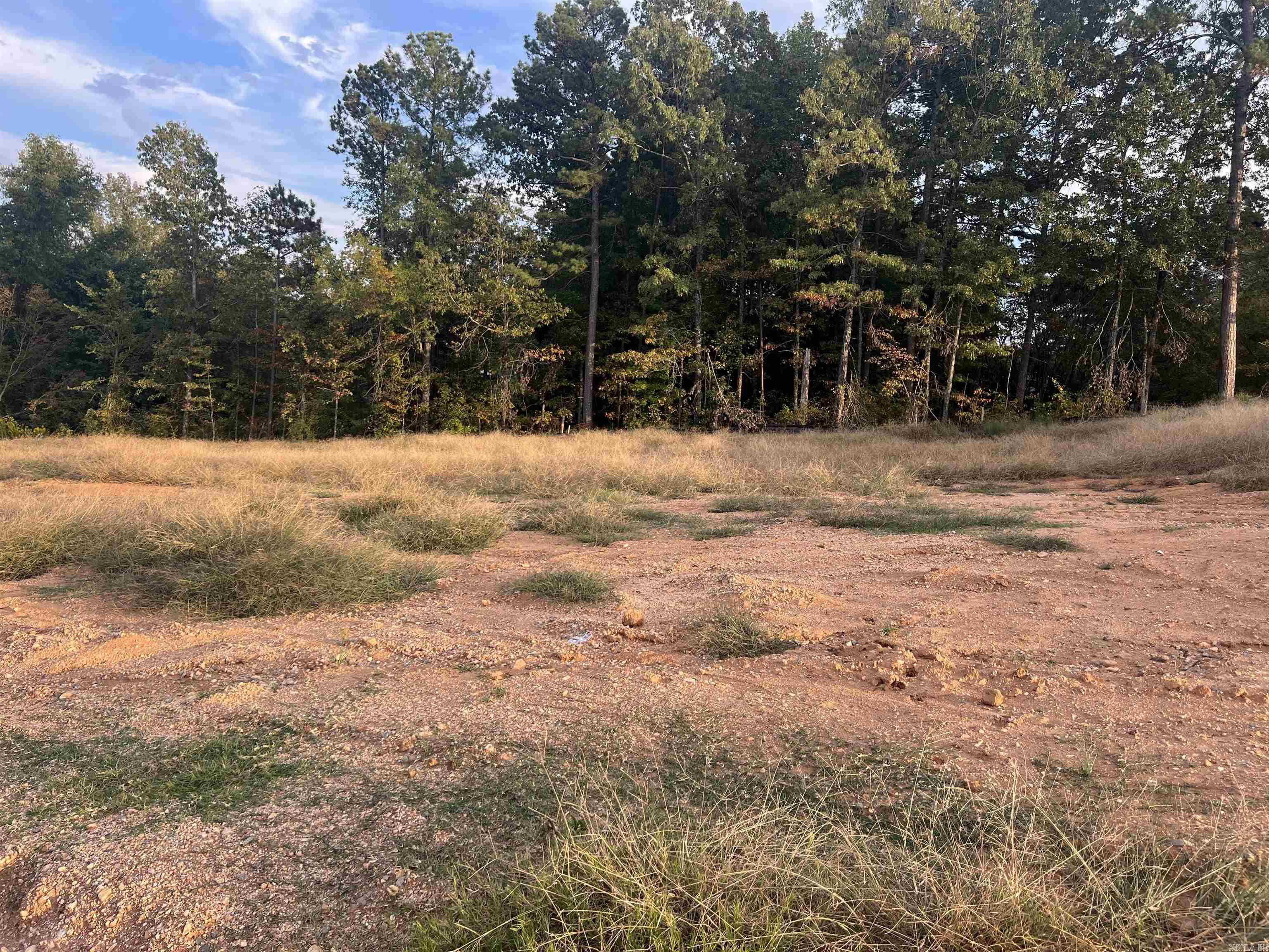 Lot 91 Harmony Village Property Photo 4