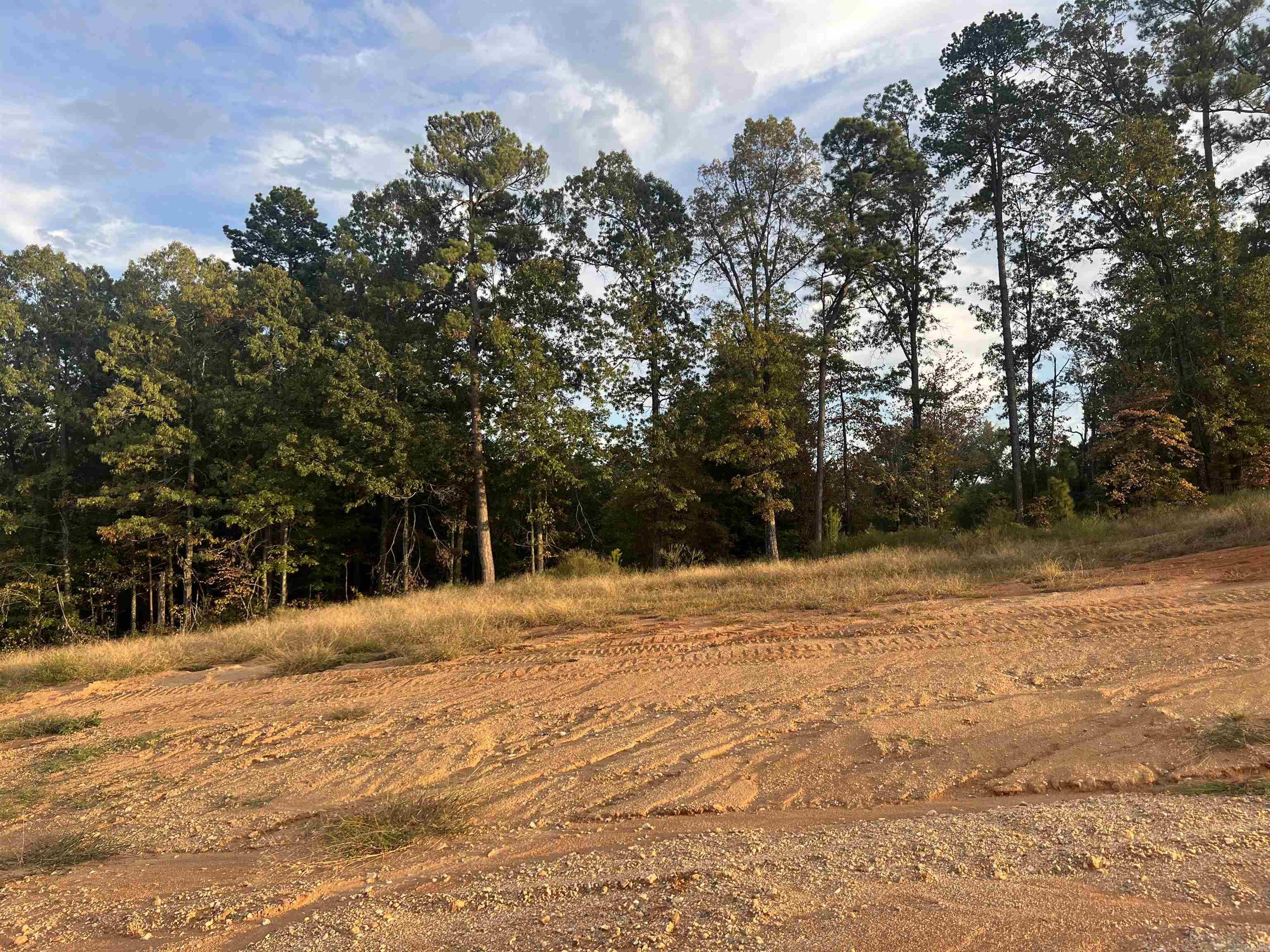 Lot 91 Harmony Village Property Photo 5