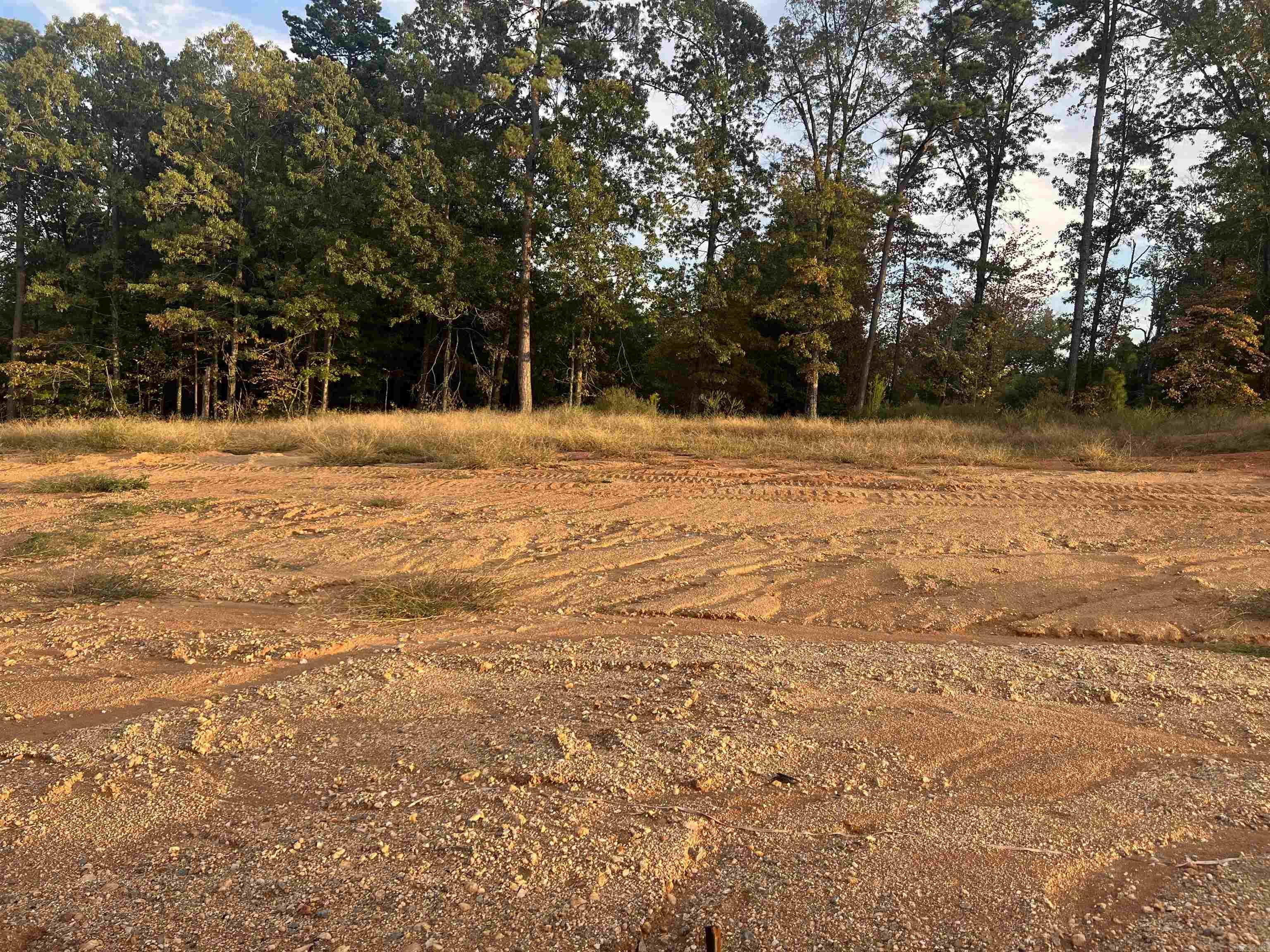 Lot 91 Harmony Village Property Photo 6
