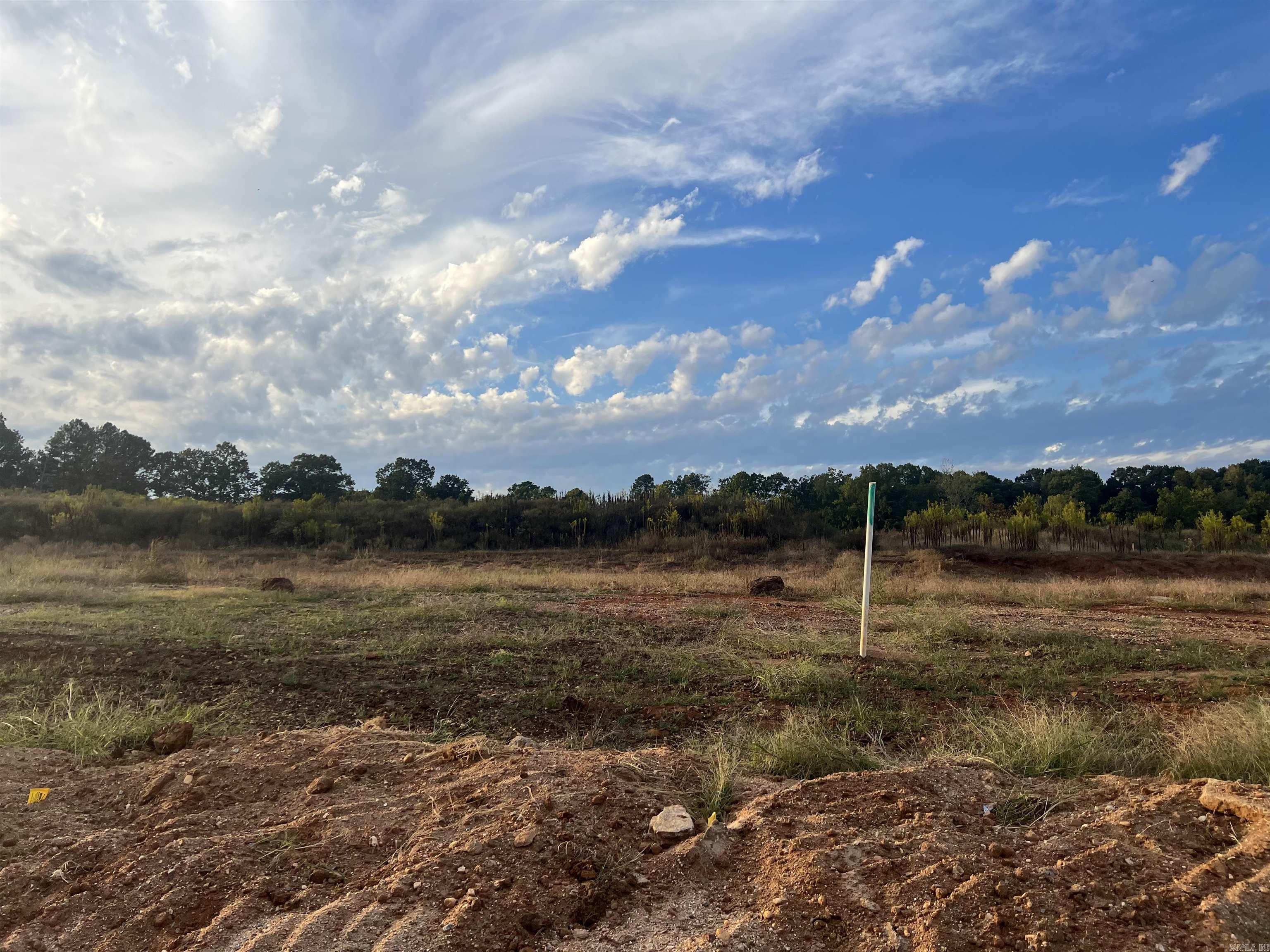 Lot 91 Harmony Village Property Photo 11