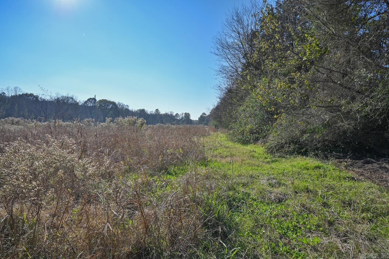 32814 W Hwy 28 Property Photo 33