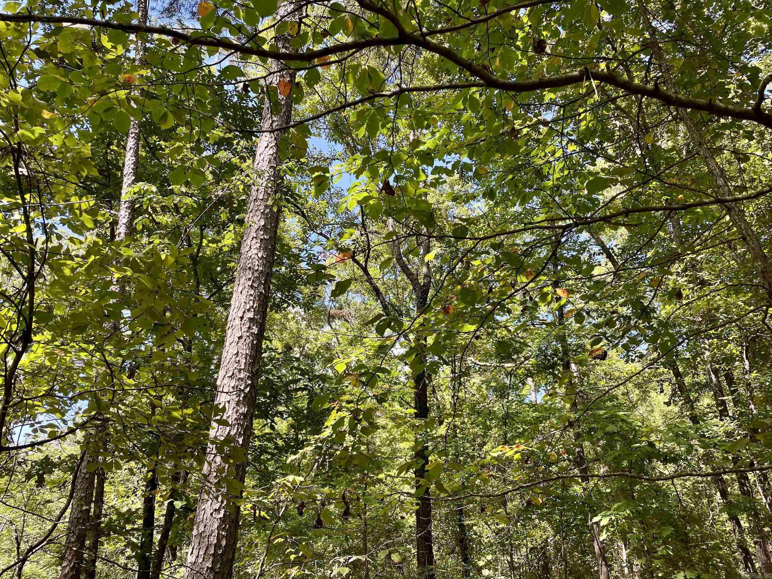 000 Cr 212 Property Photo 25