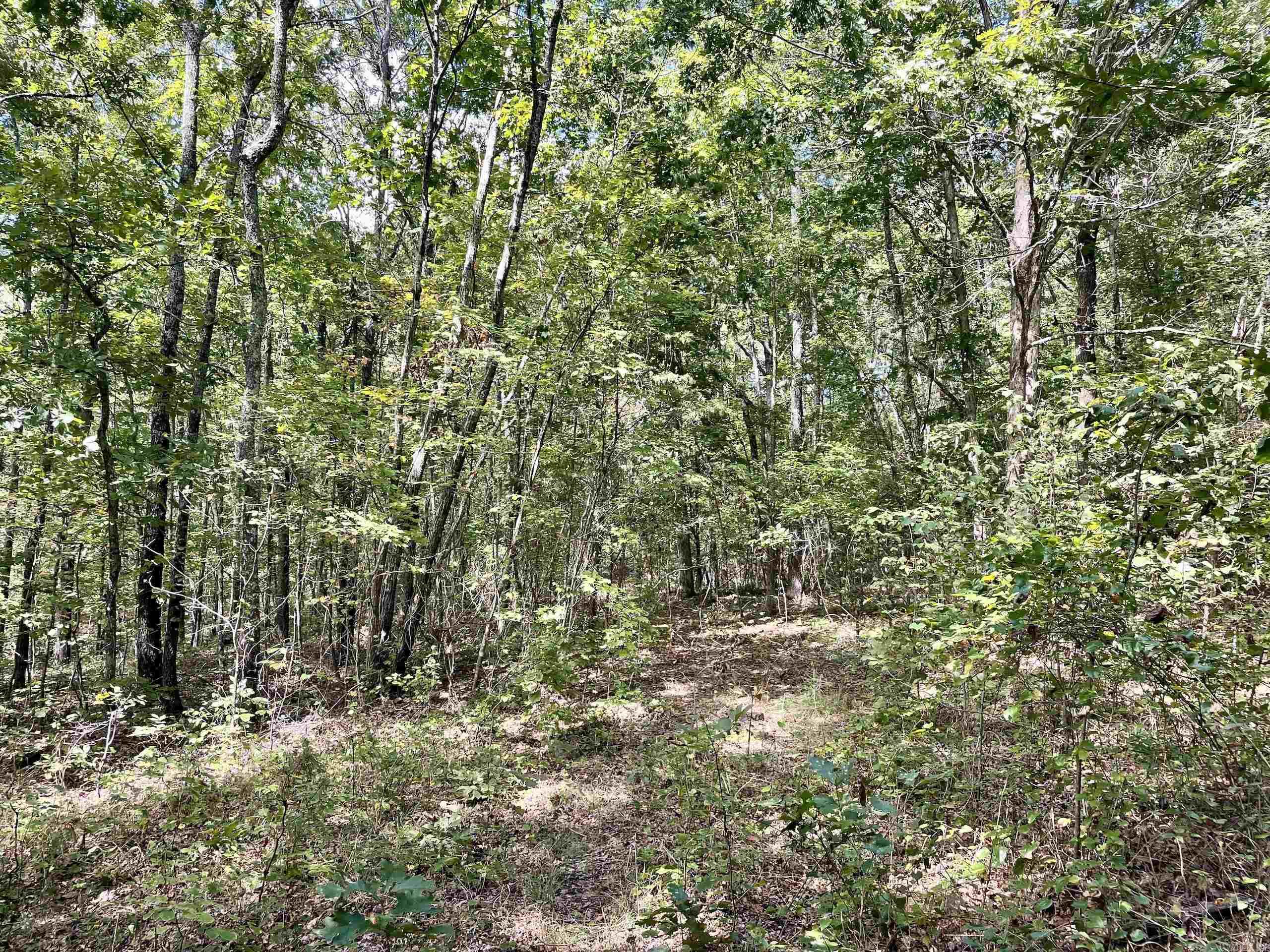 000 Cr 212 Property Photo 26