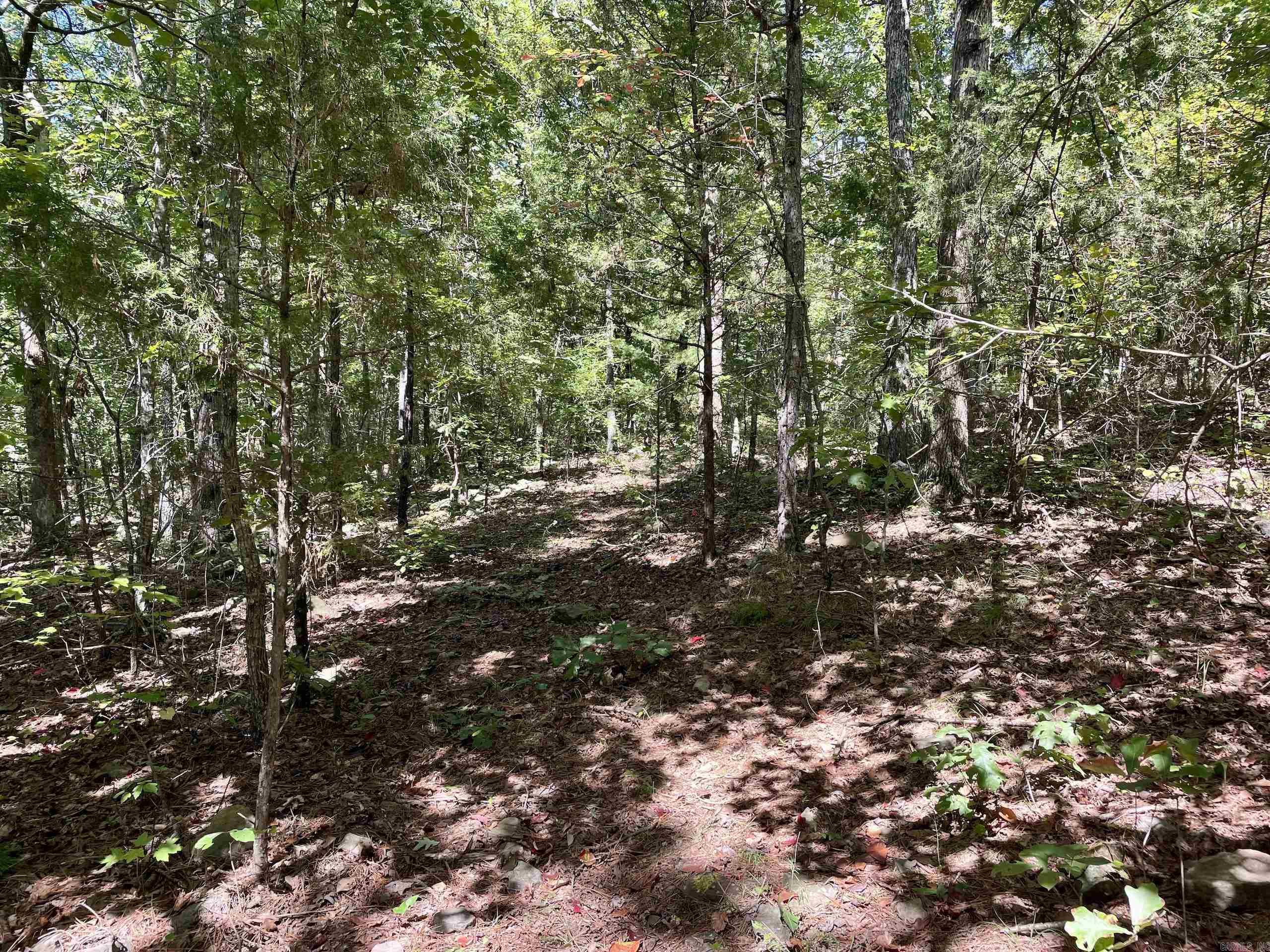 000 Cr 212 Property Photo 34