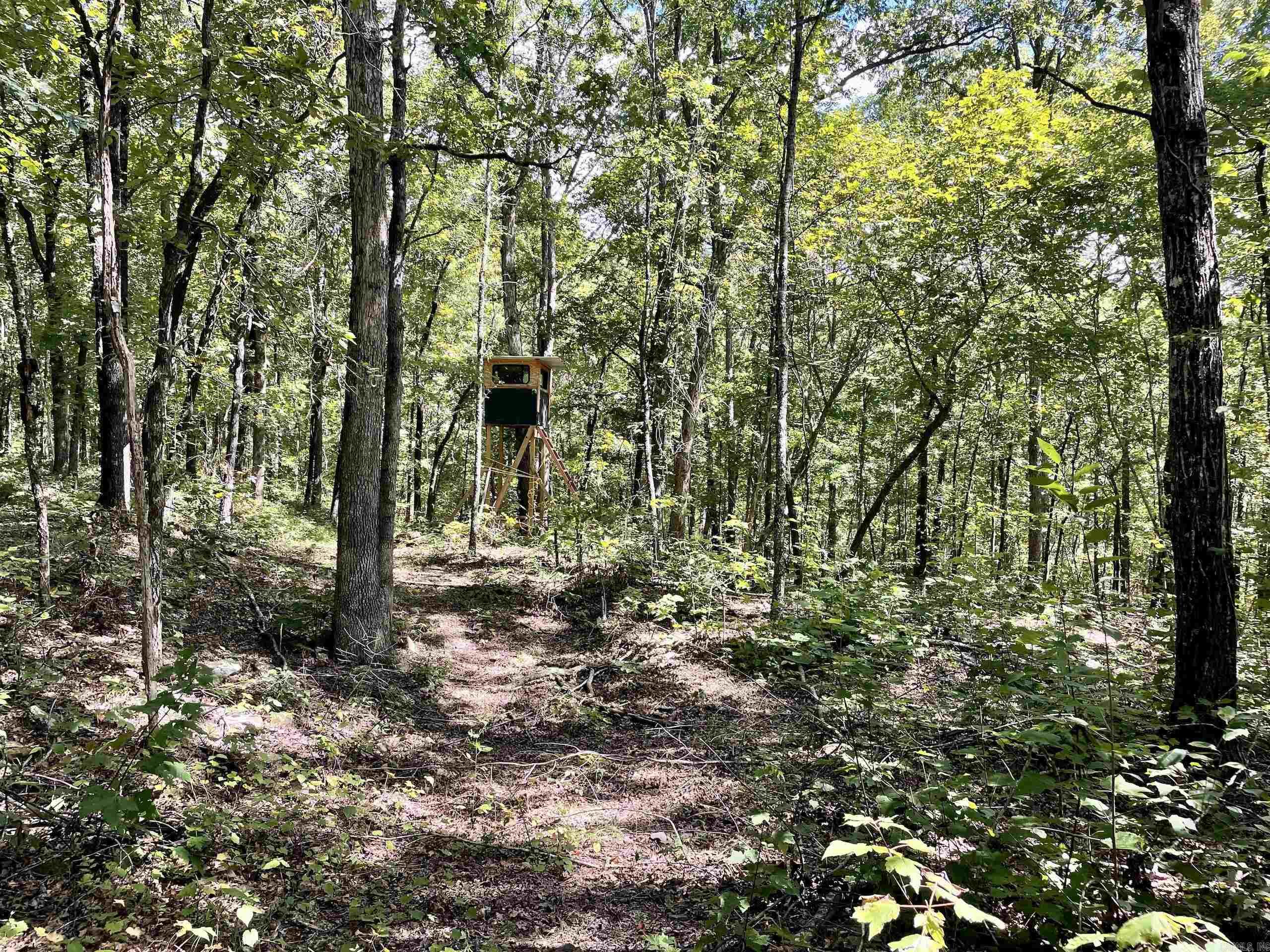 000 Cr 212 Property Photo 39