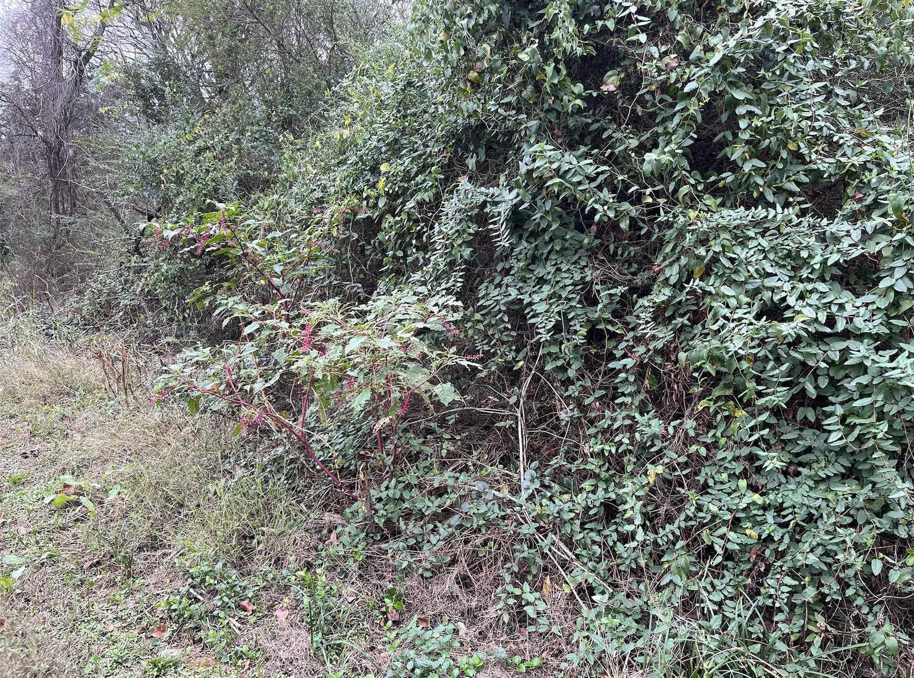 Tbd Burrow Property Photo 3