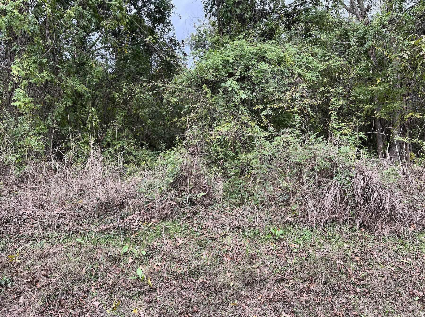 Tbd Burrow Property Photo 5