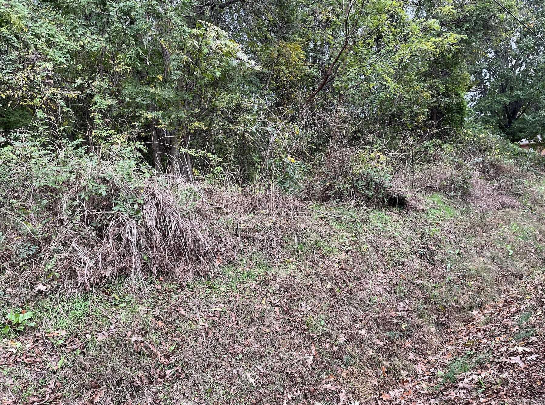 Tbd Burrow Property Photo 6