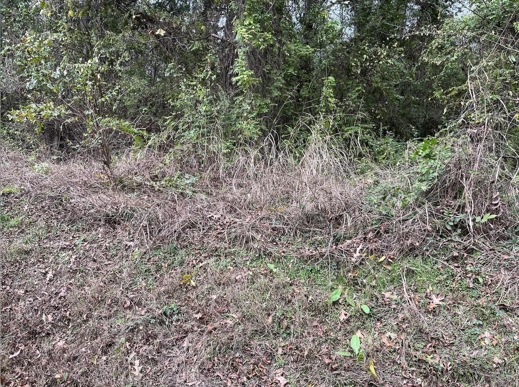 Tbd Burrow Property Photo 7