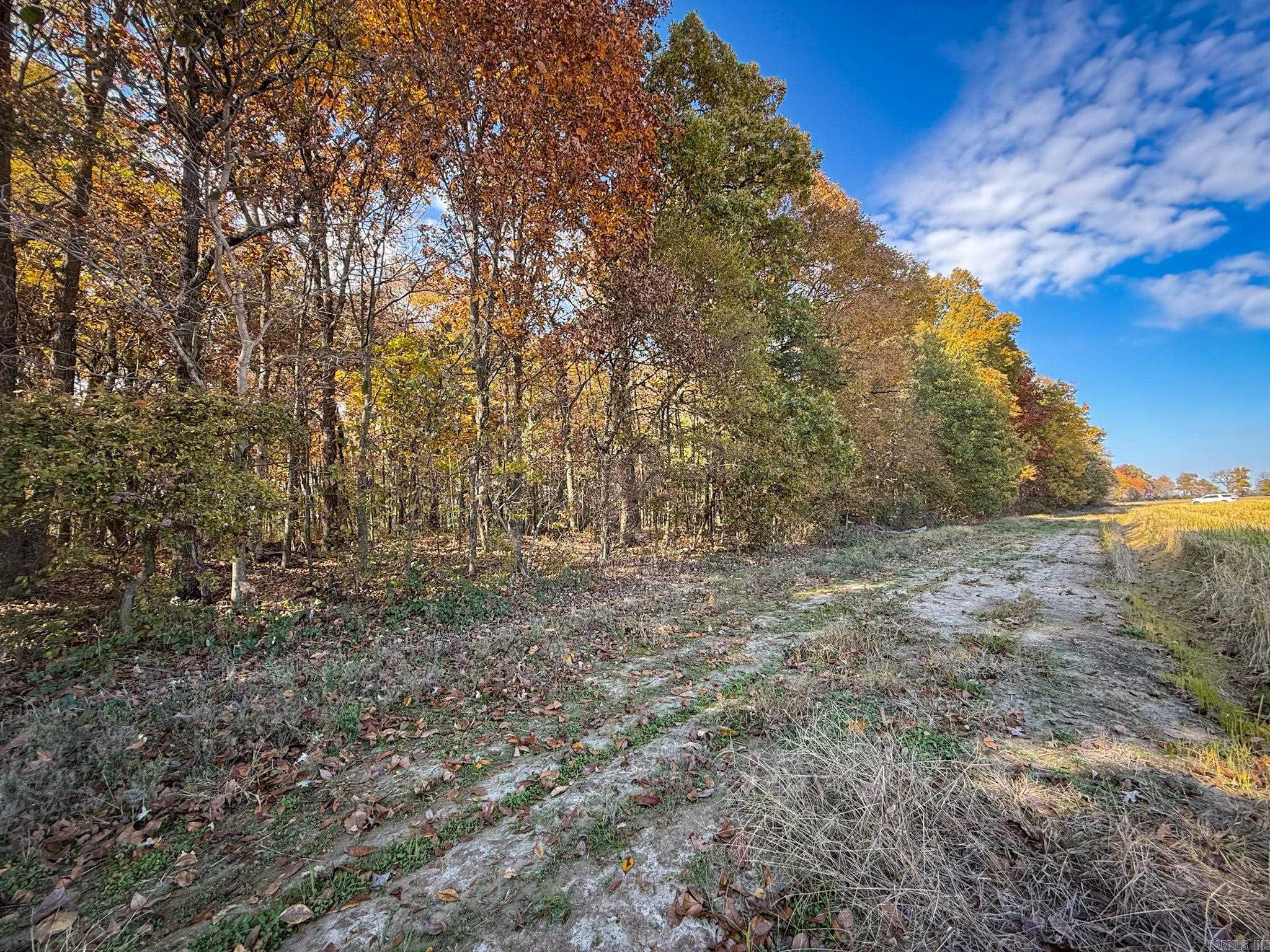 County Road 105 Property Photo 1