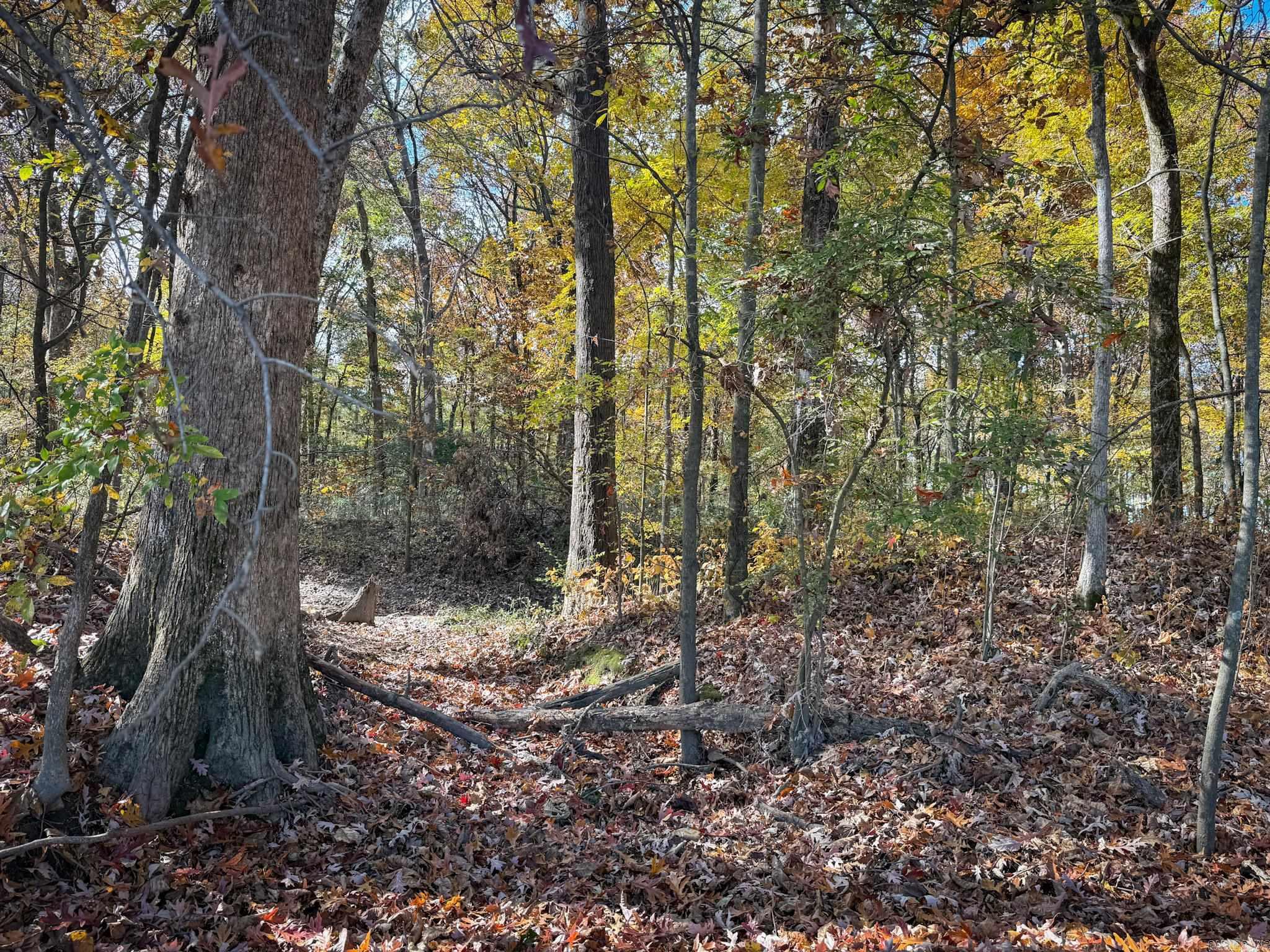 County Road 105 Property Photo 4
