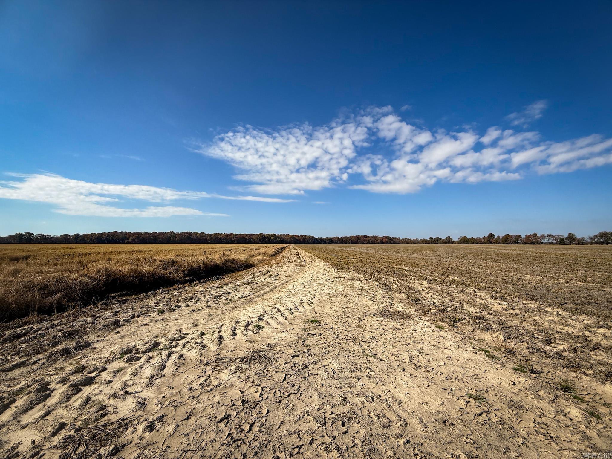 County Road 105 Property Photo 5