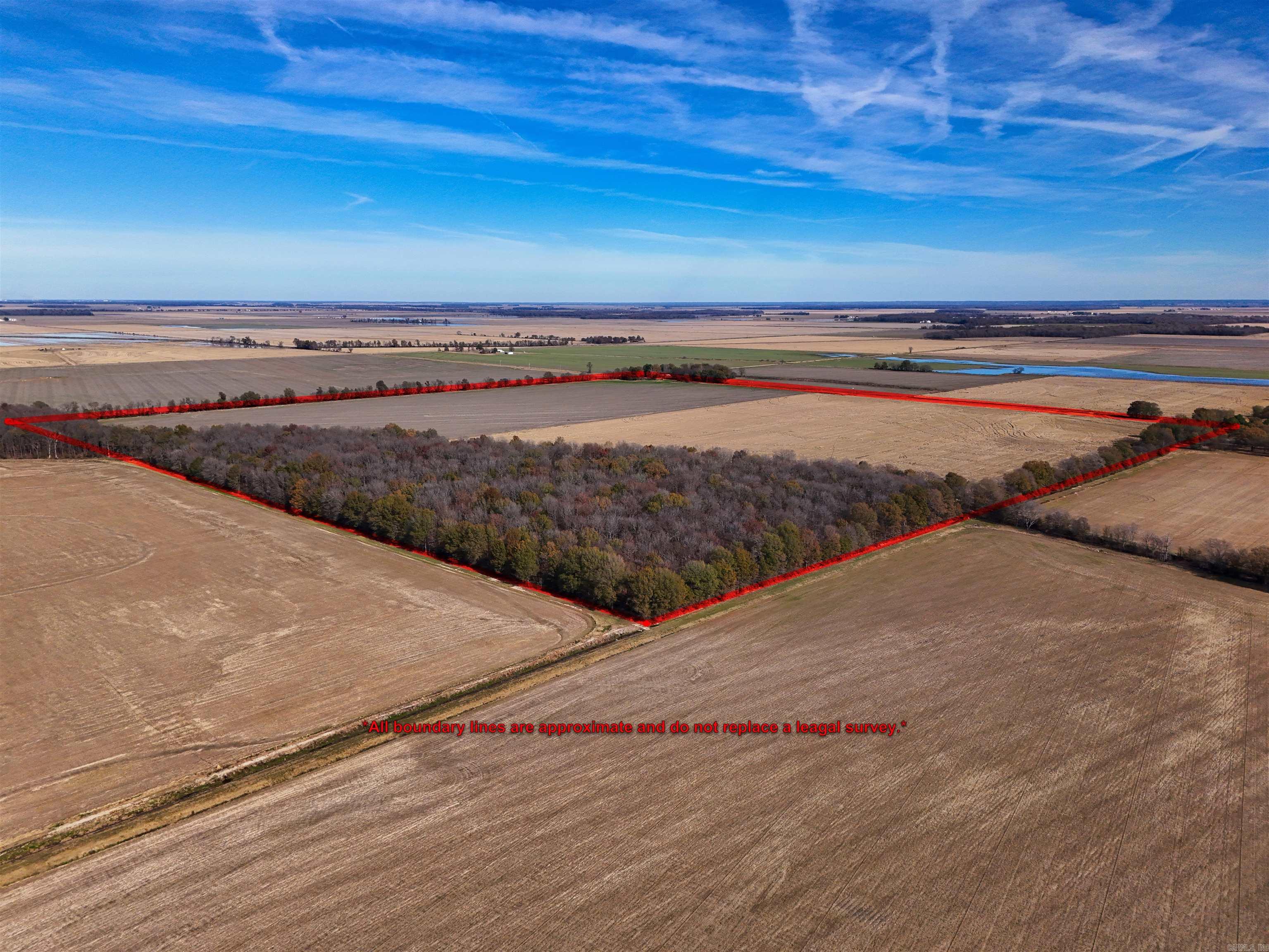 County Road 105 Property Photo 7