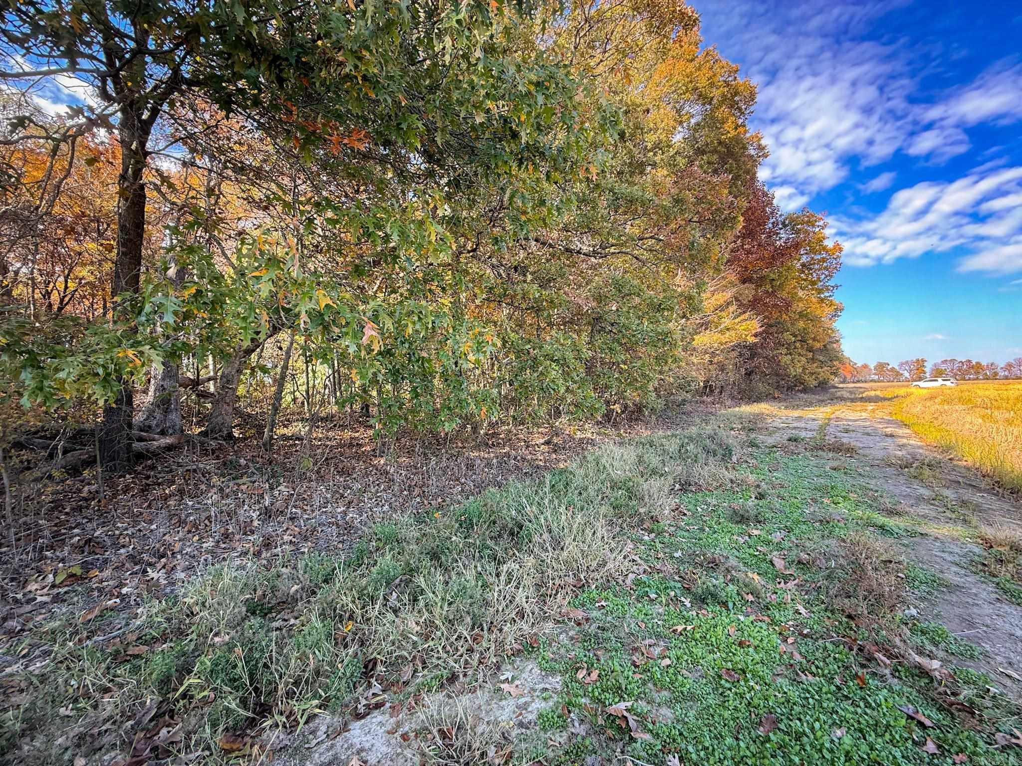 County Road 105 Property Photo 21