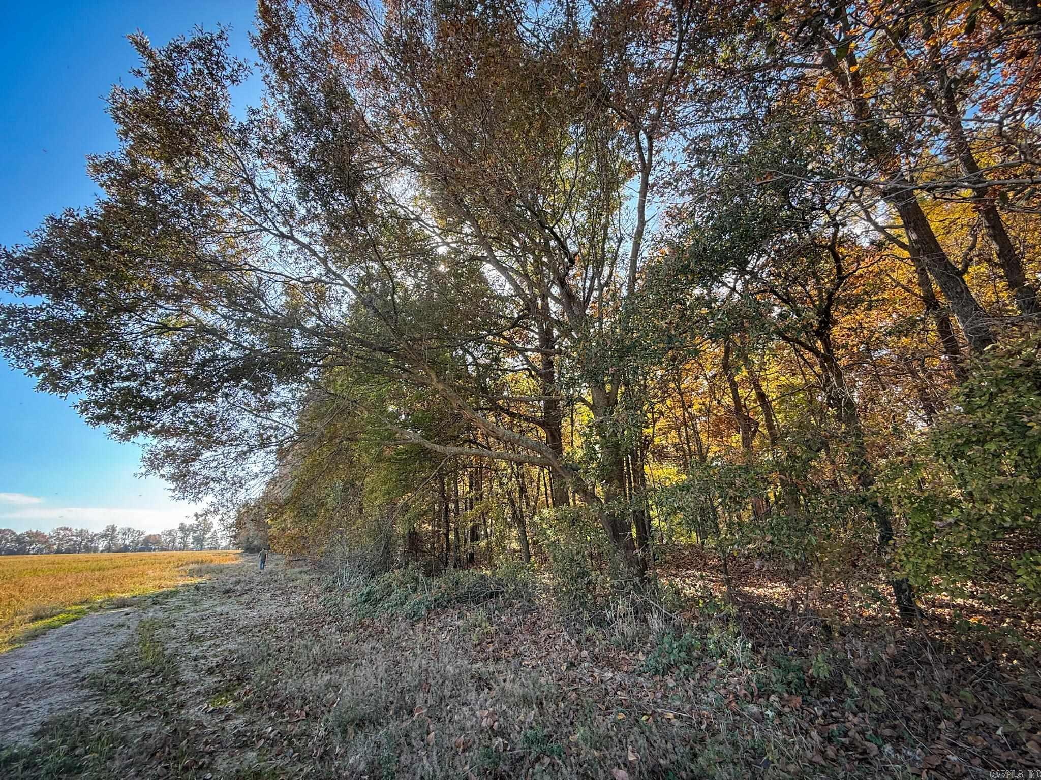 County Road 105 Property Photo 24