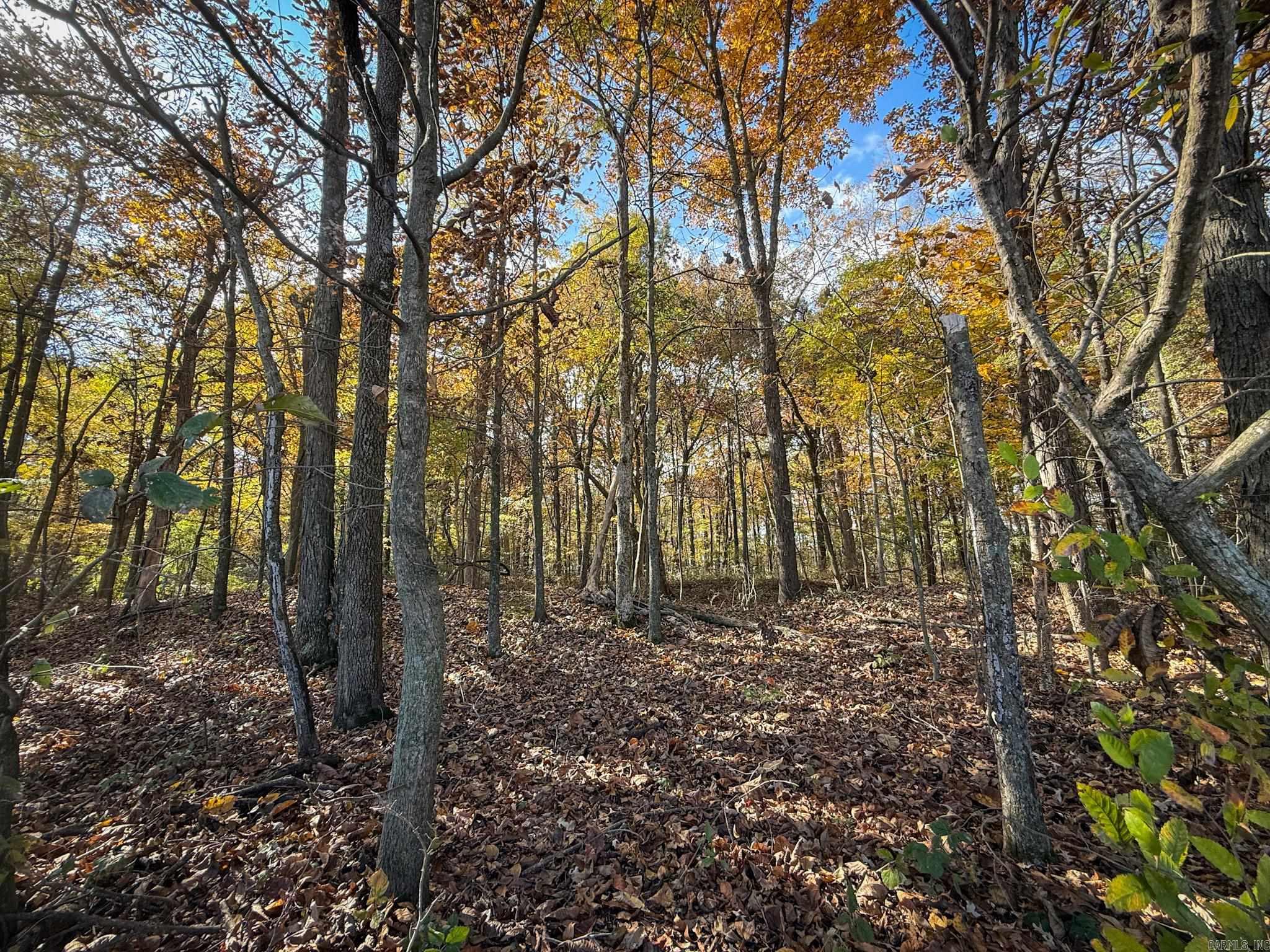 County Road 105 Property Photo 25