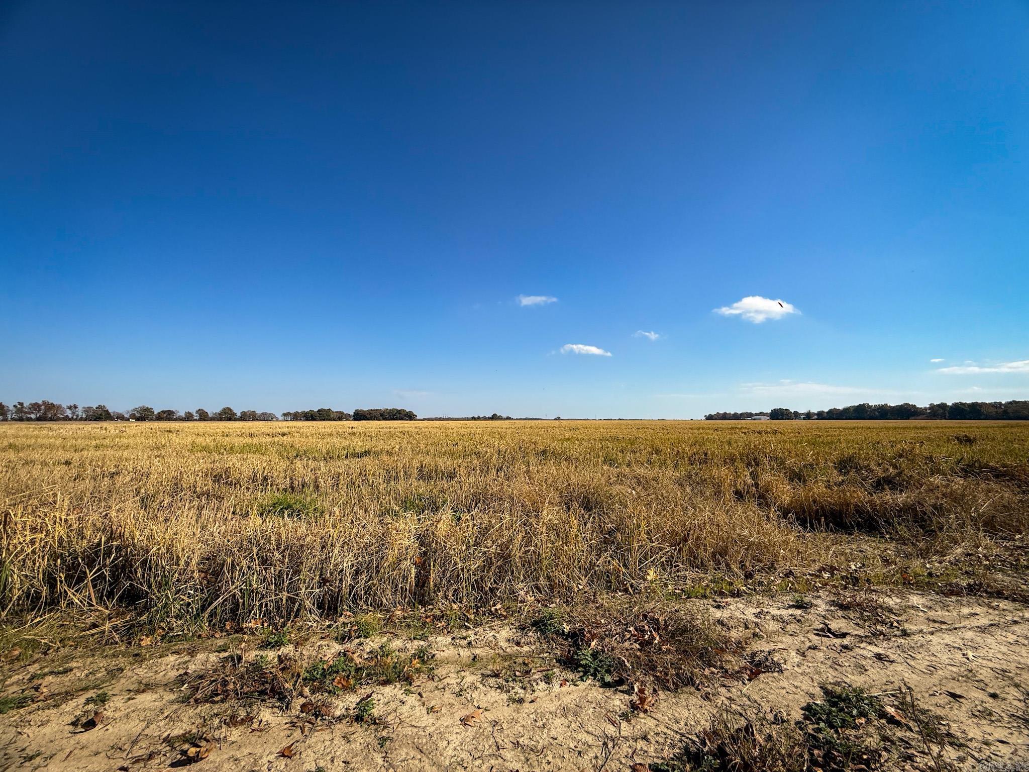 County Road 105 Property Photo 30
