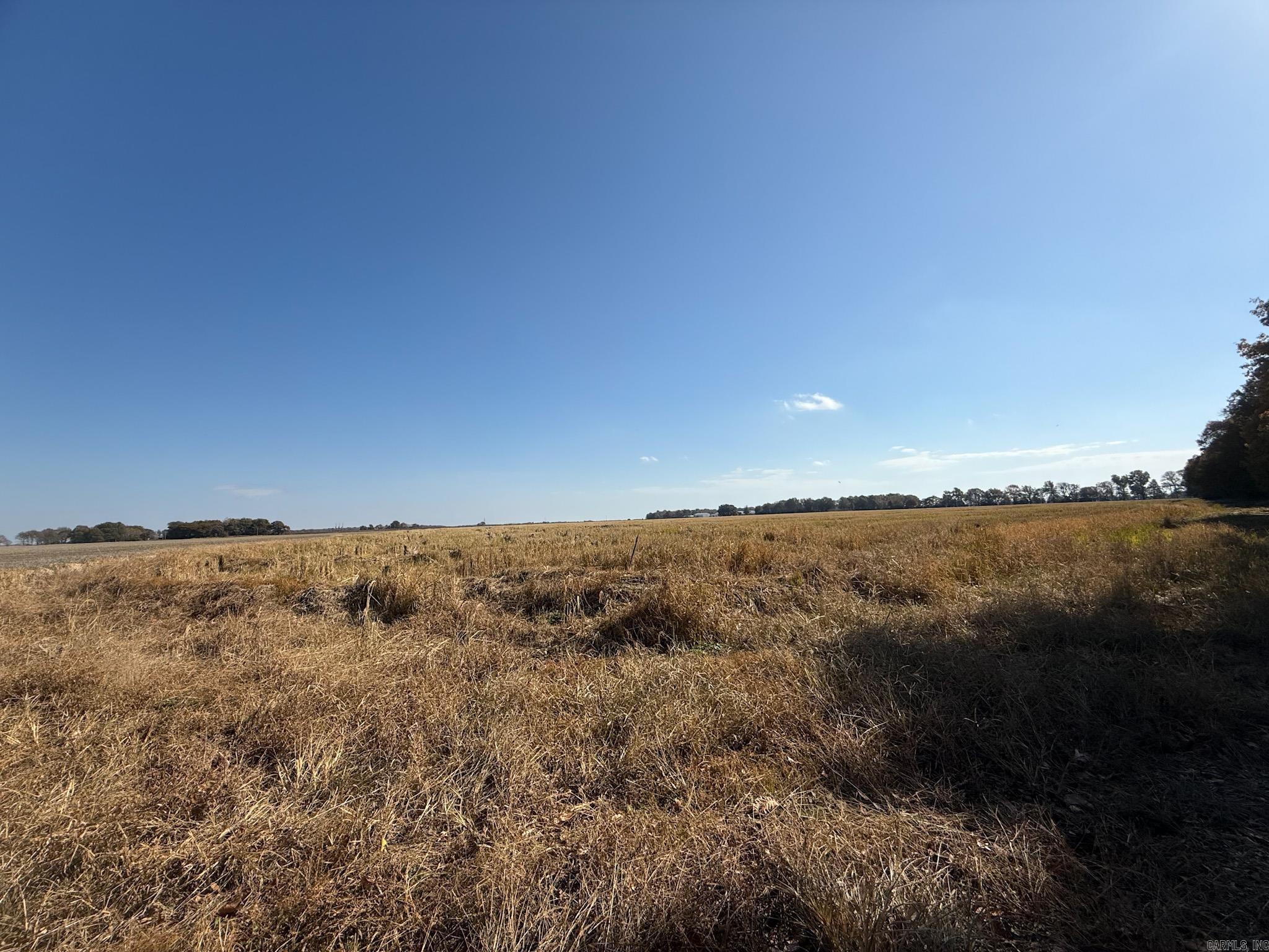 County Road 105 Property Photo 32