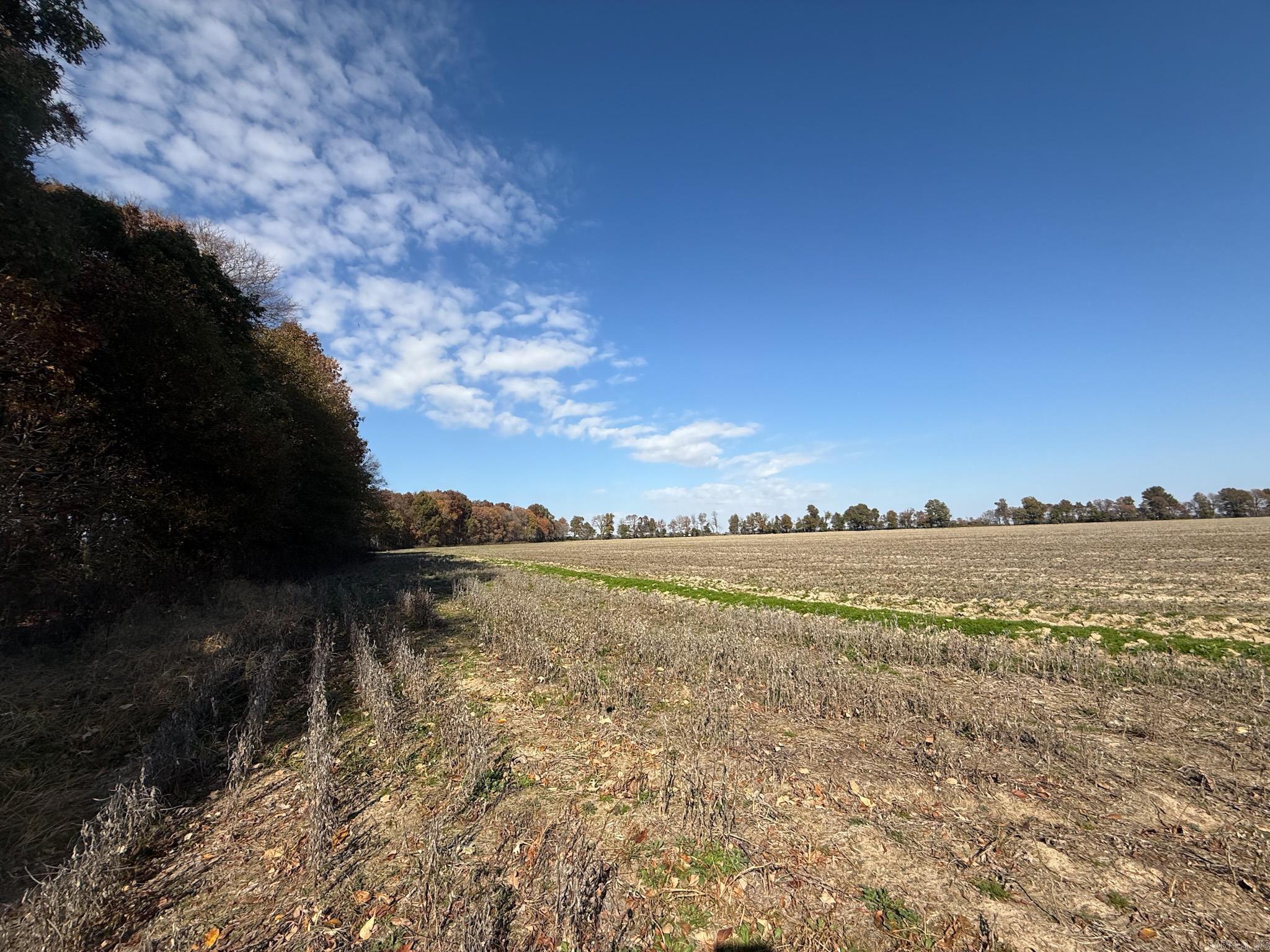 County Road 105 Property Photo 33