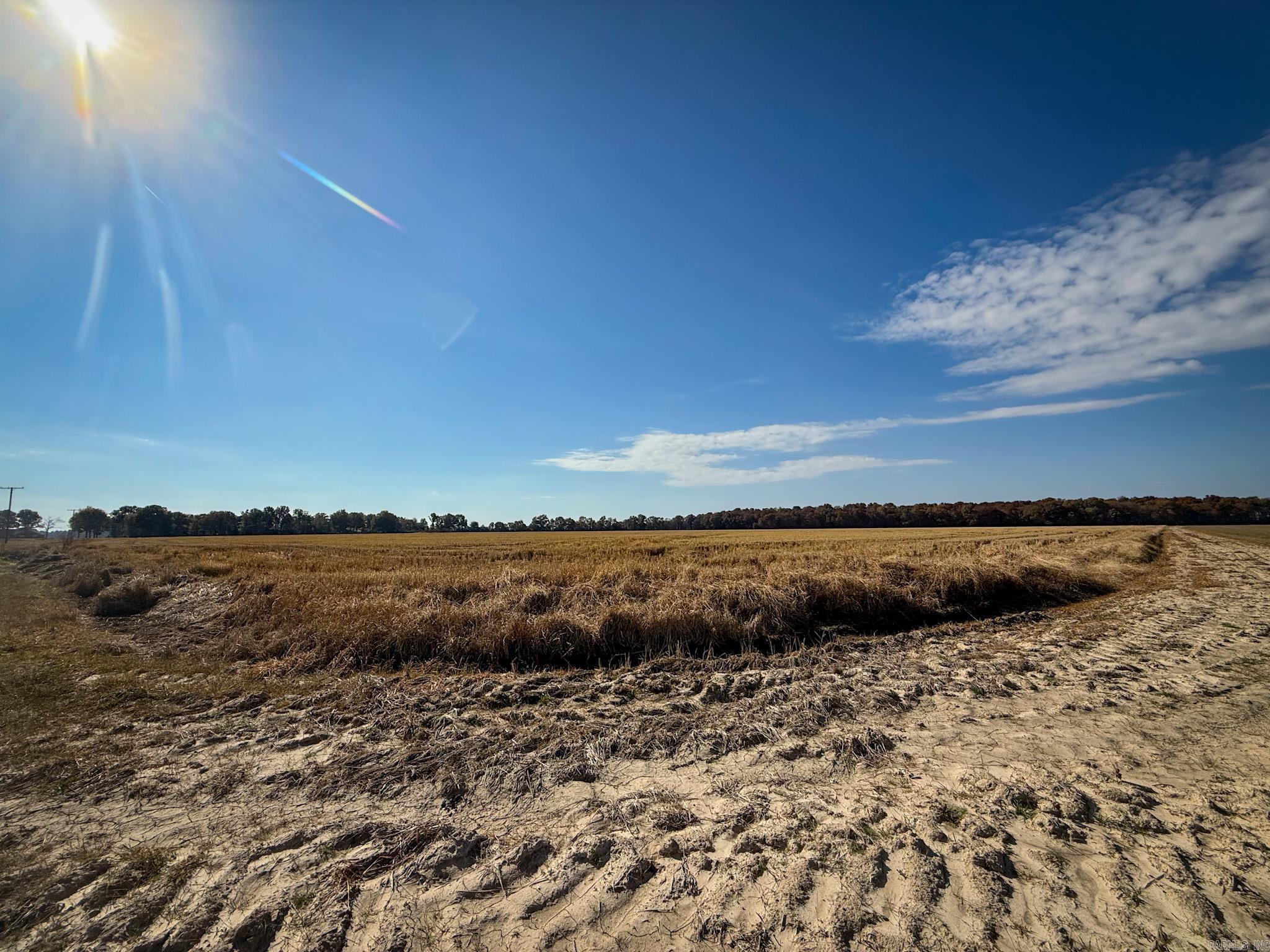 County Road 105 Property Photo 34