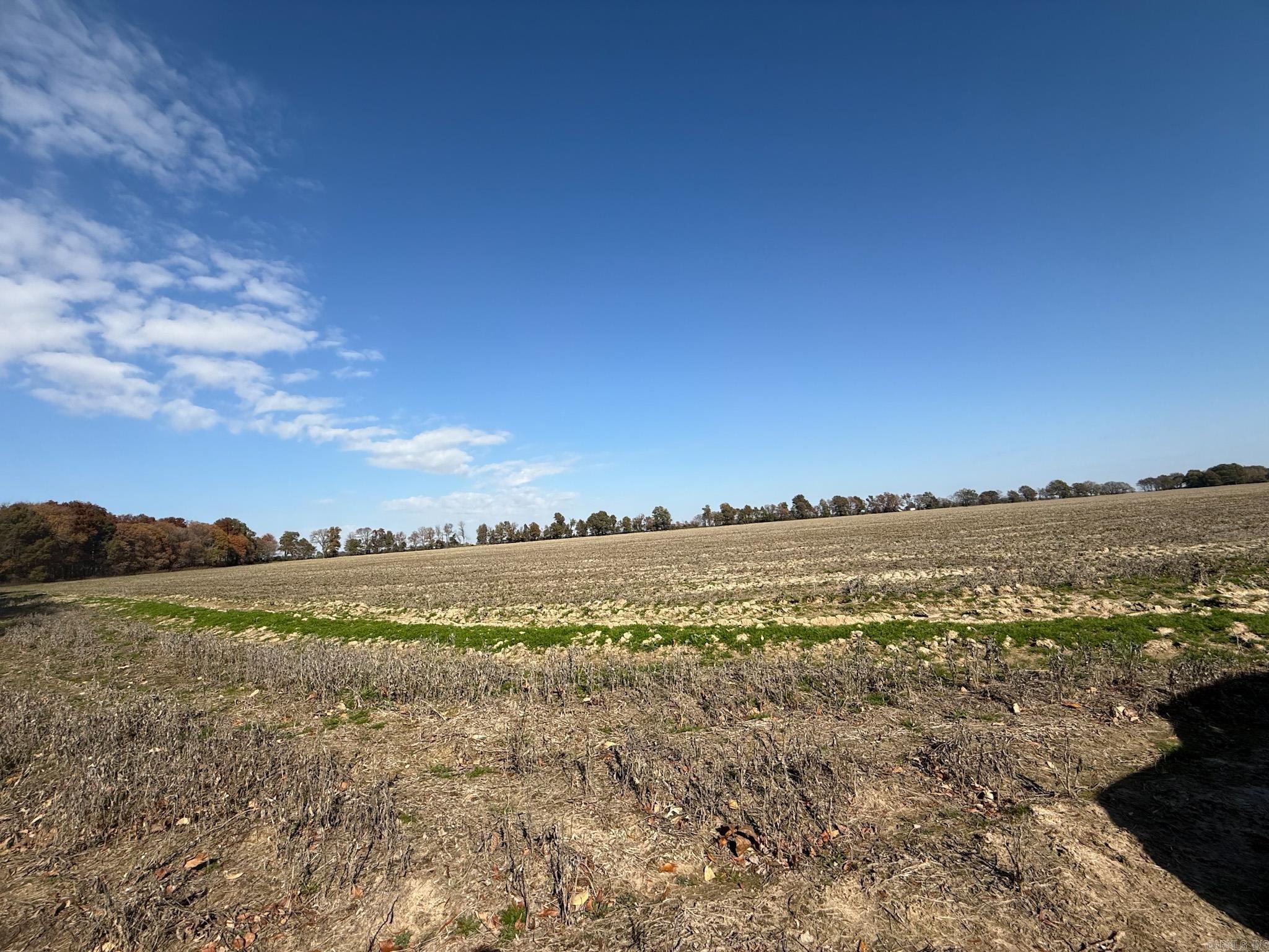 County Road 105 Property Photo 35