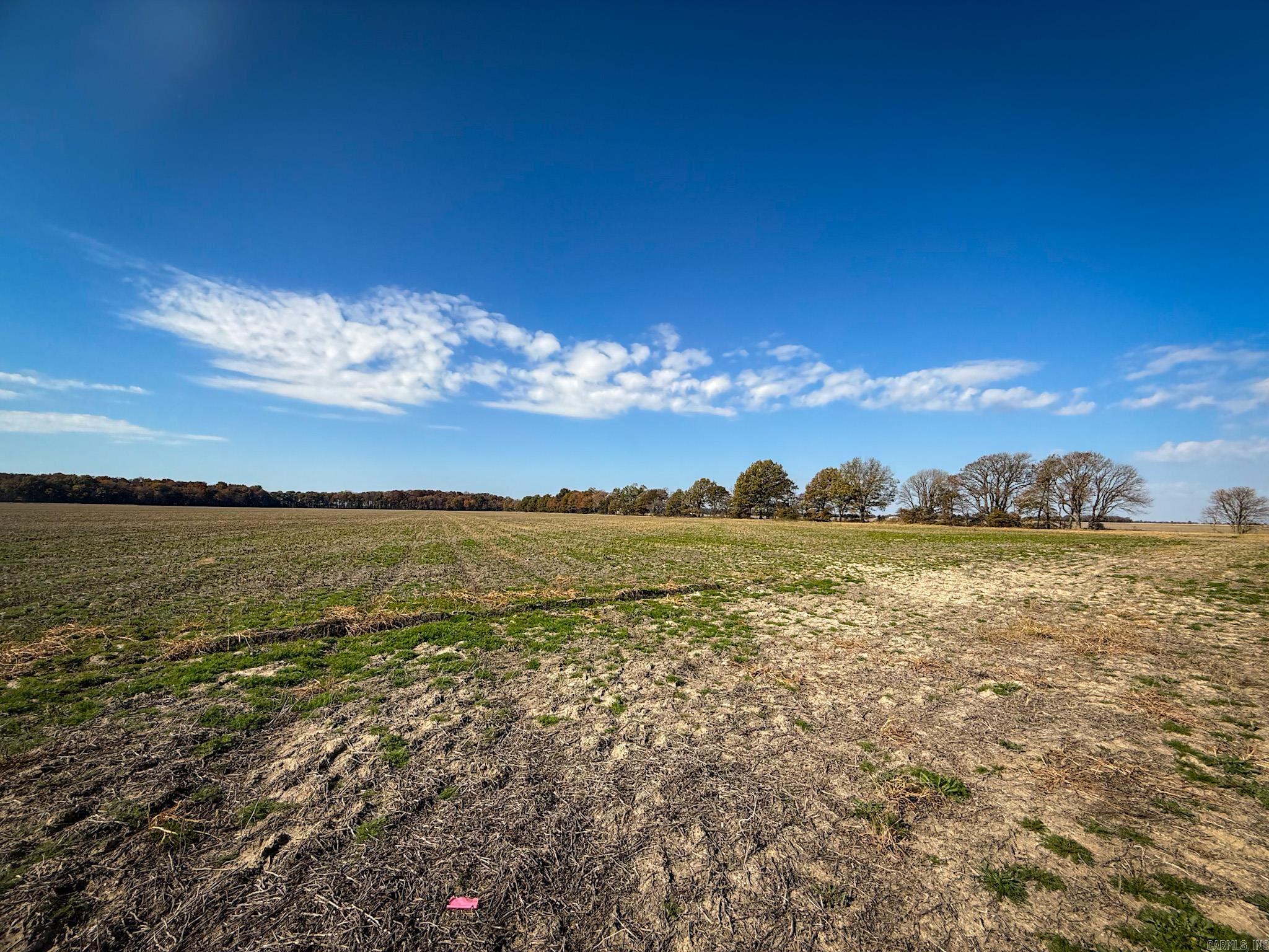 County Road 105 Property Photo 36