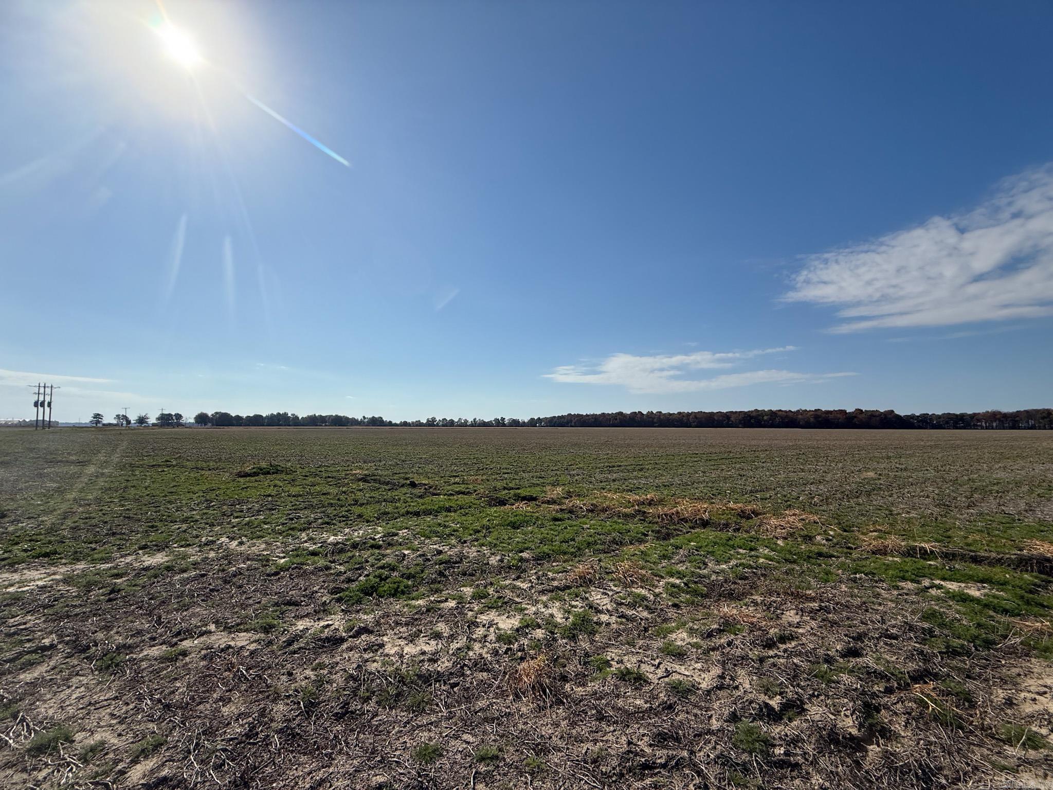 County Road 105 Property Photo 37