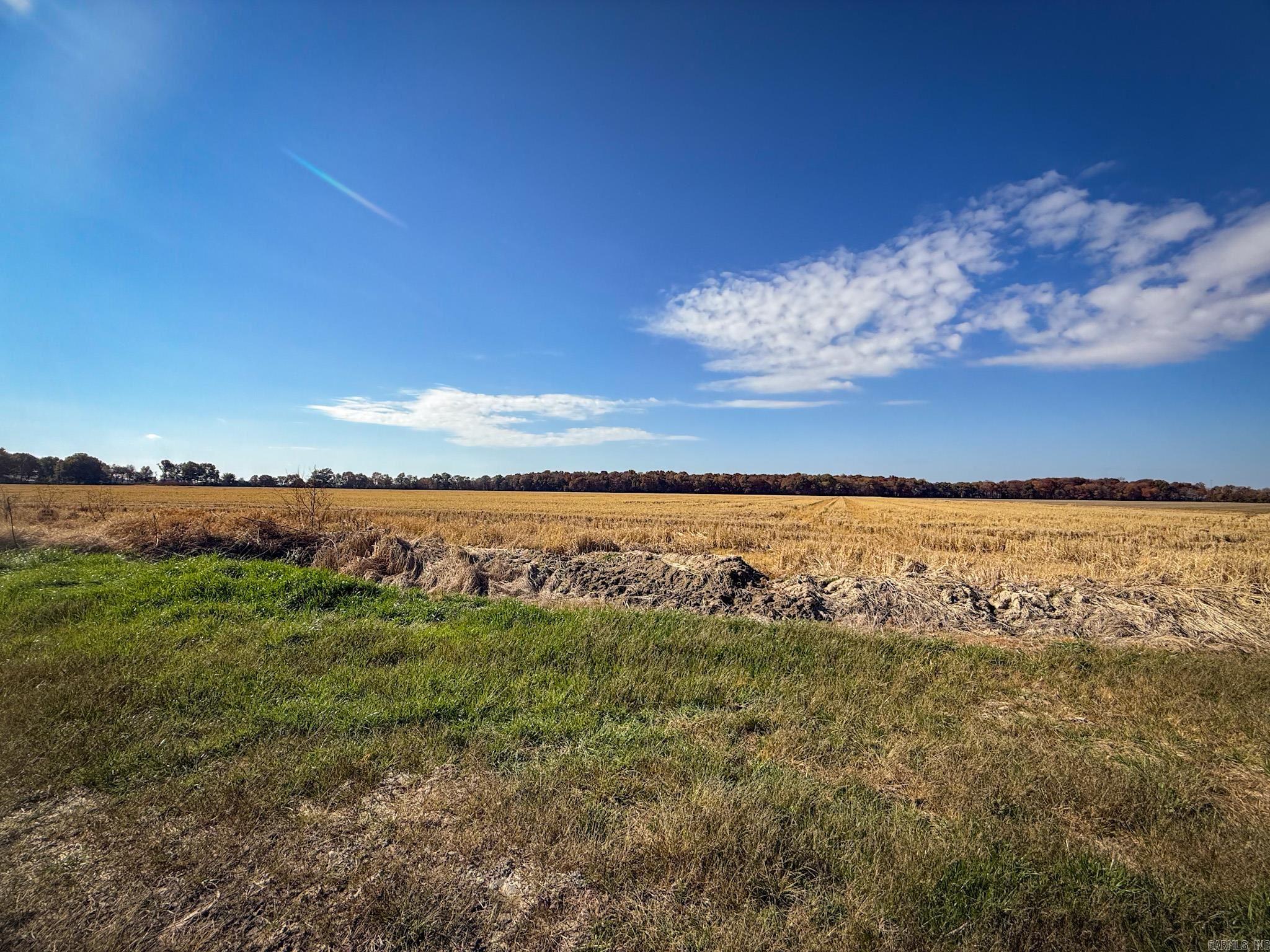 County Road 105 Property Photo 38