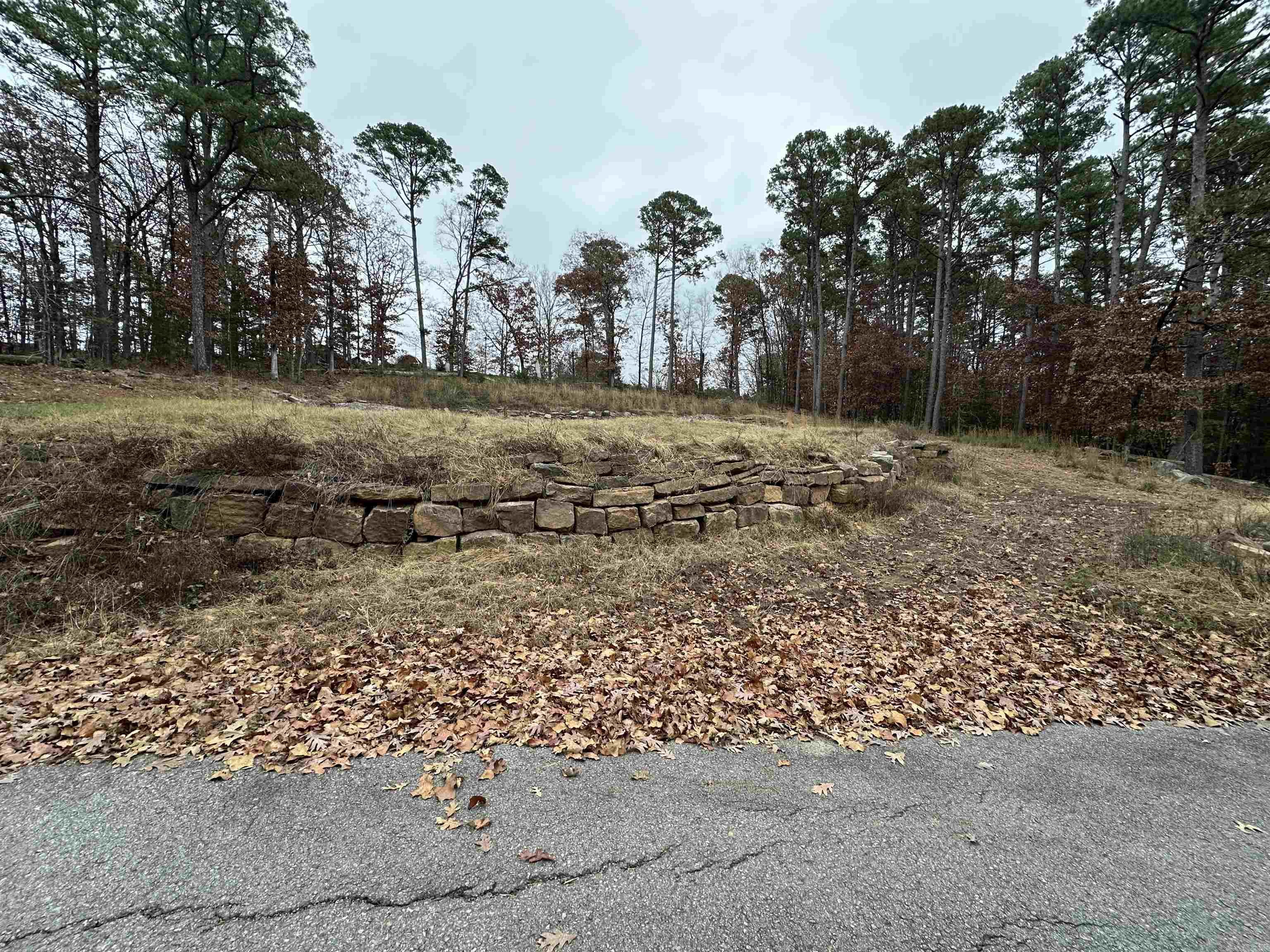 00 Fox Run Drive Property Photo 3