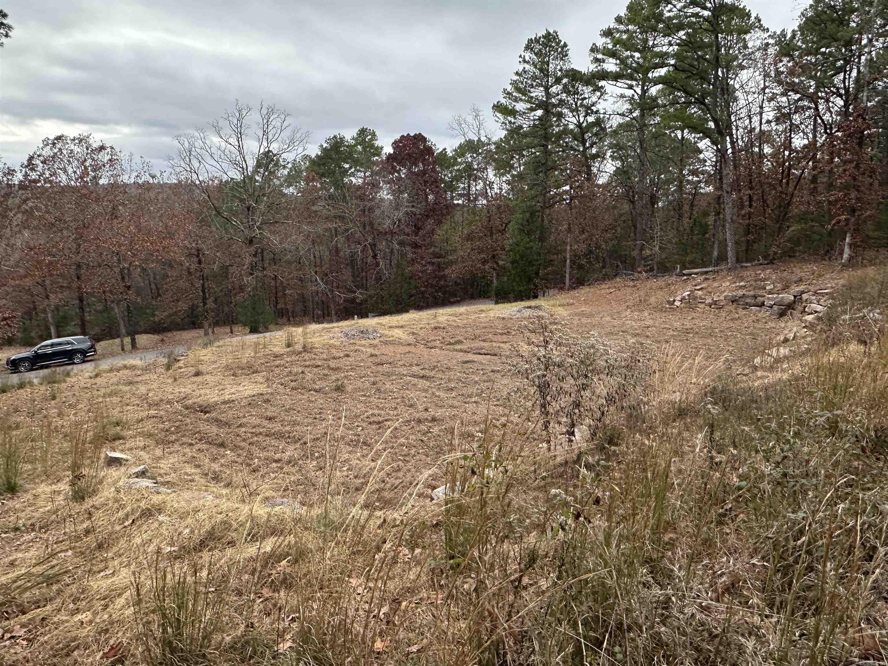 00 Fox Run Drive Property Photo 5