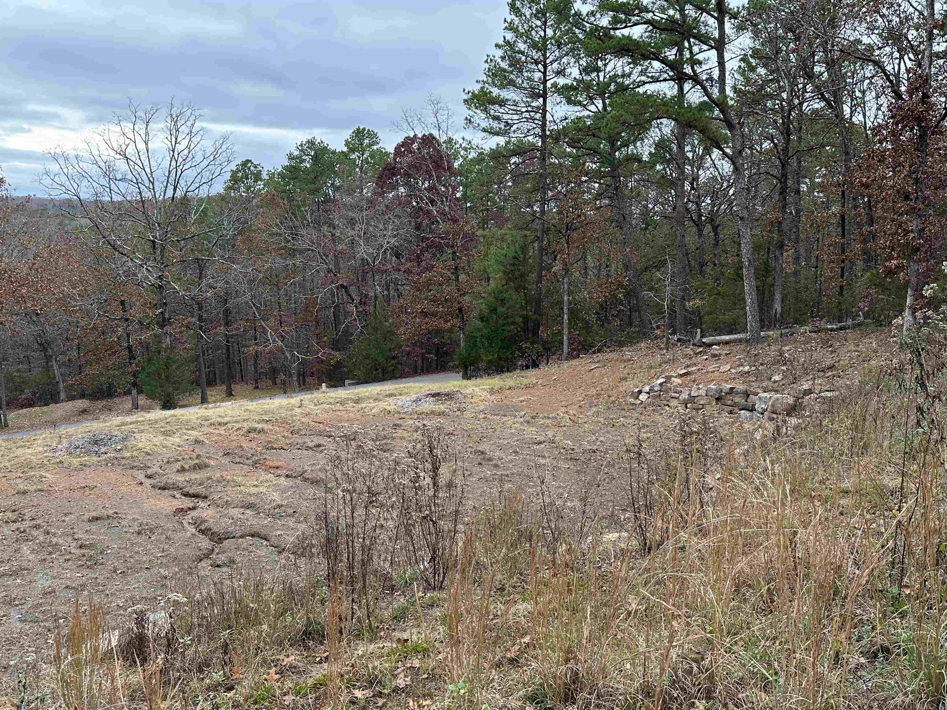 00 Fox Run Drive Property Photo 6