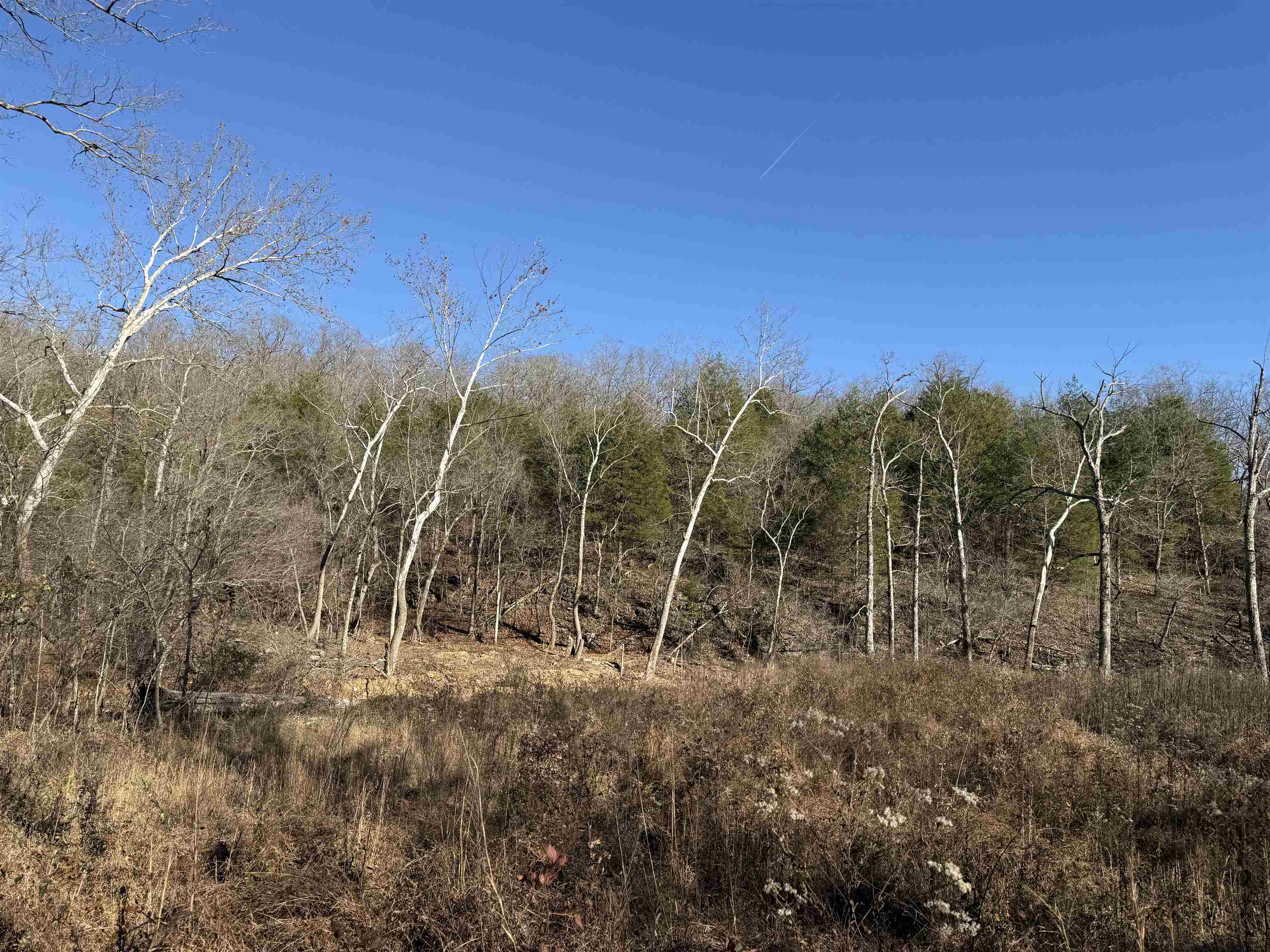 00 Hwy 63 Property Photo 3