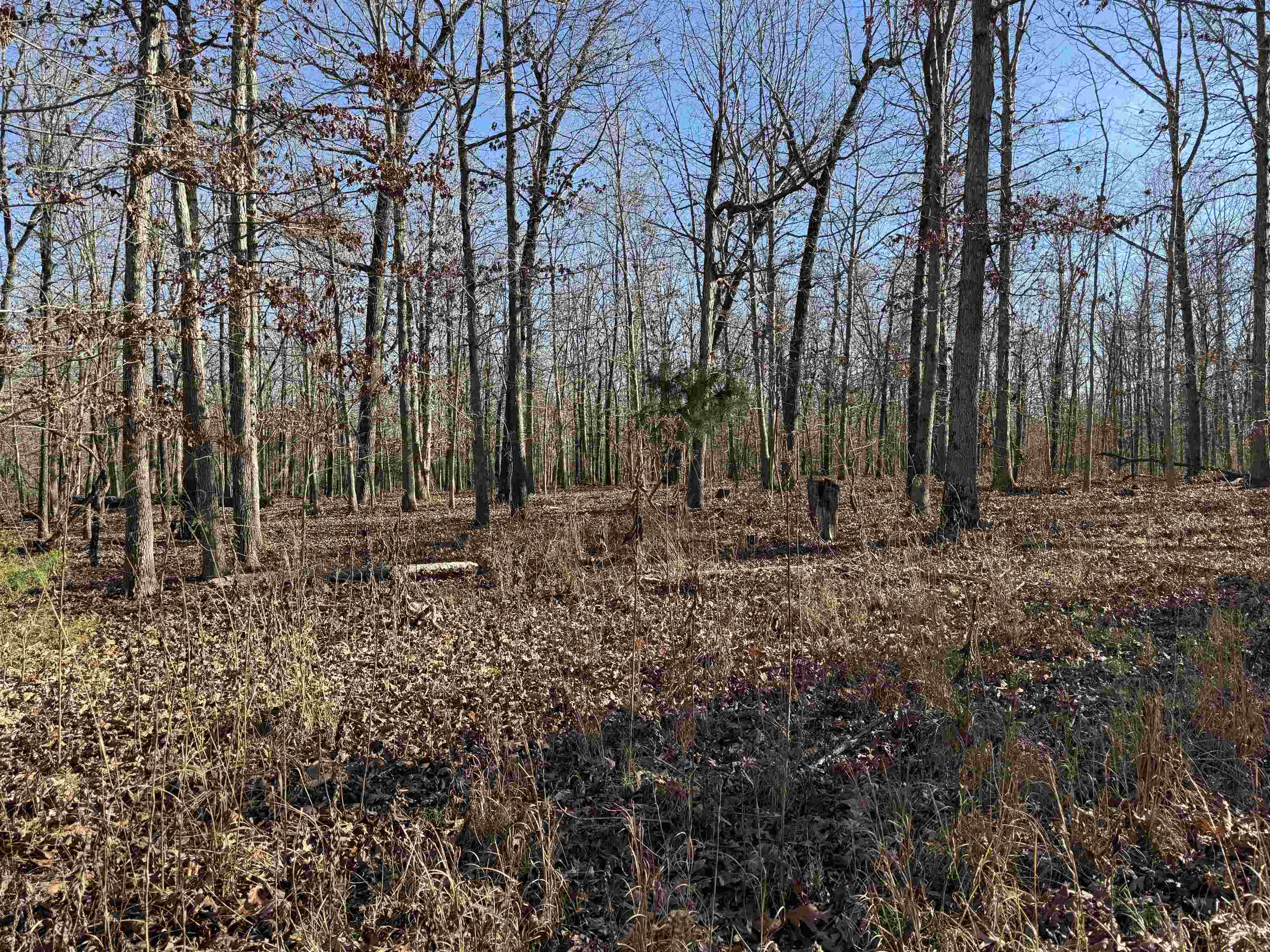 00 Hwy 63 Property Photo 4