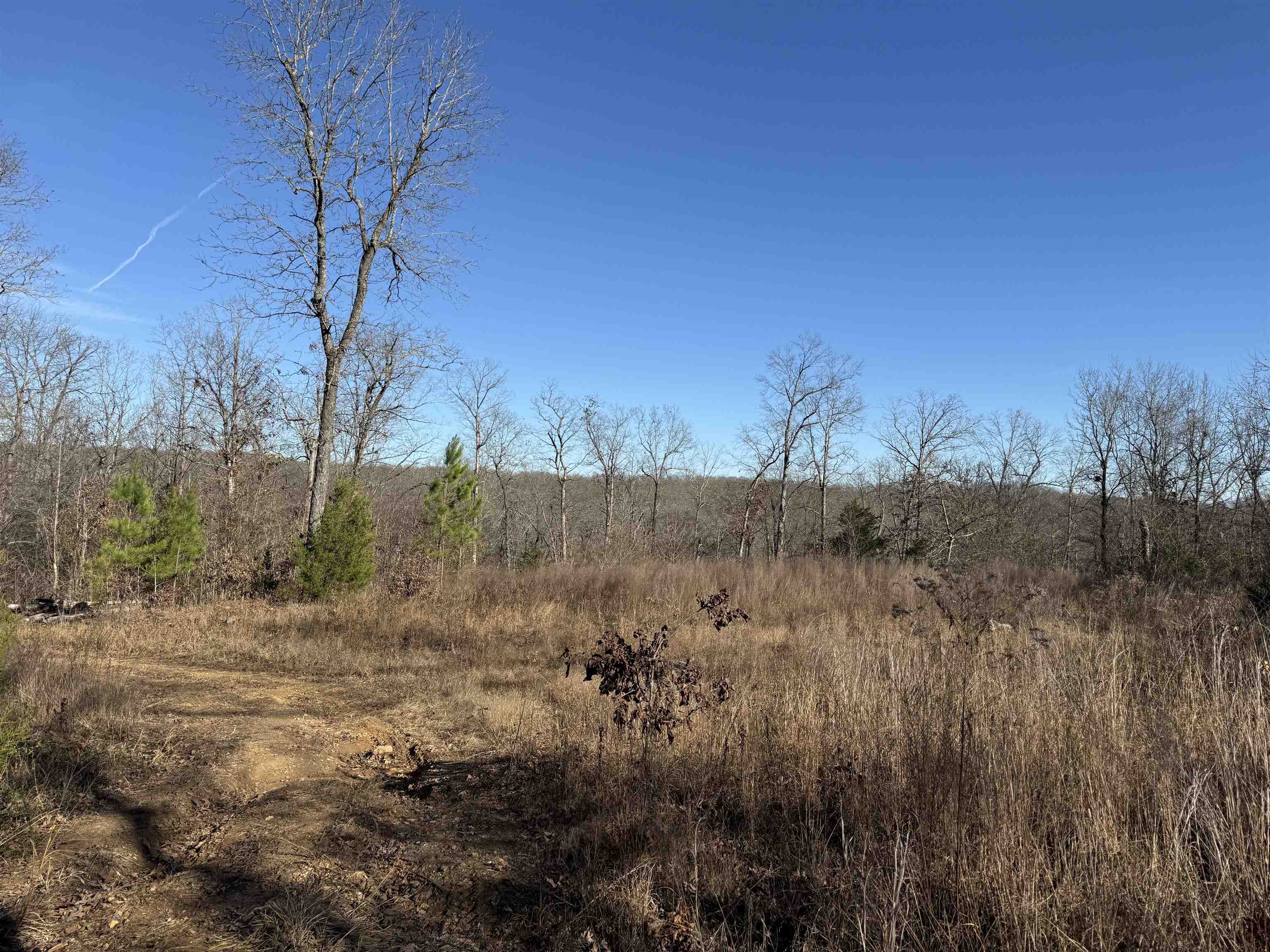 00 Hwy 63 Property Photo 5