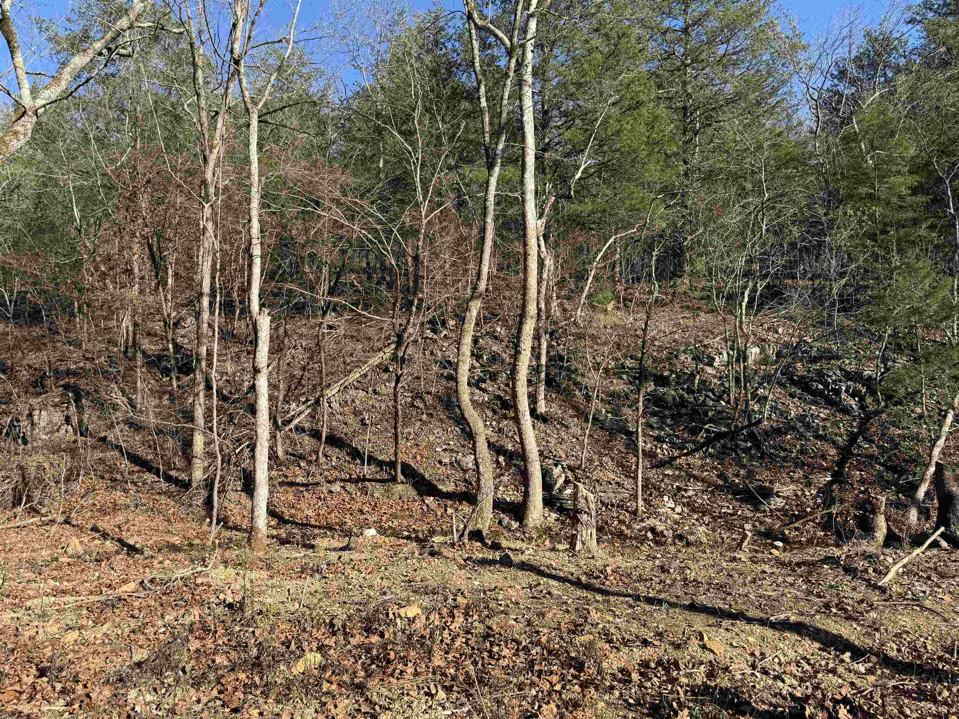 00 Hwy 63 Property Photo 9