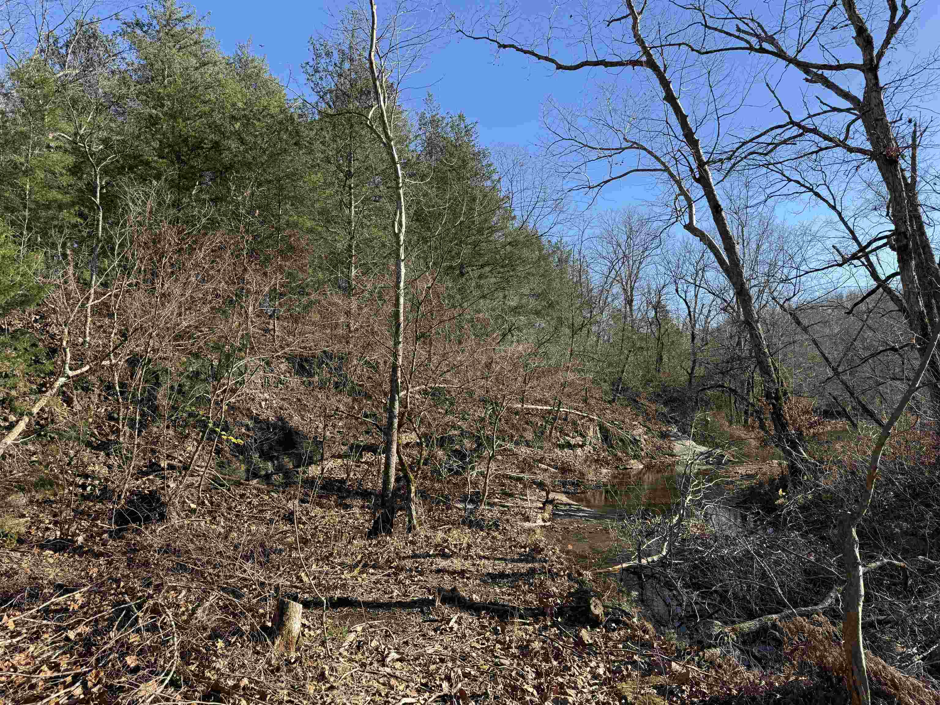 00 Hwy 63 Property Photo 10
