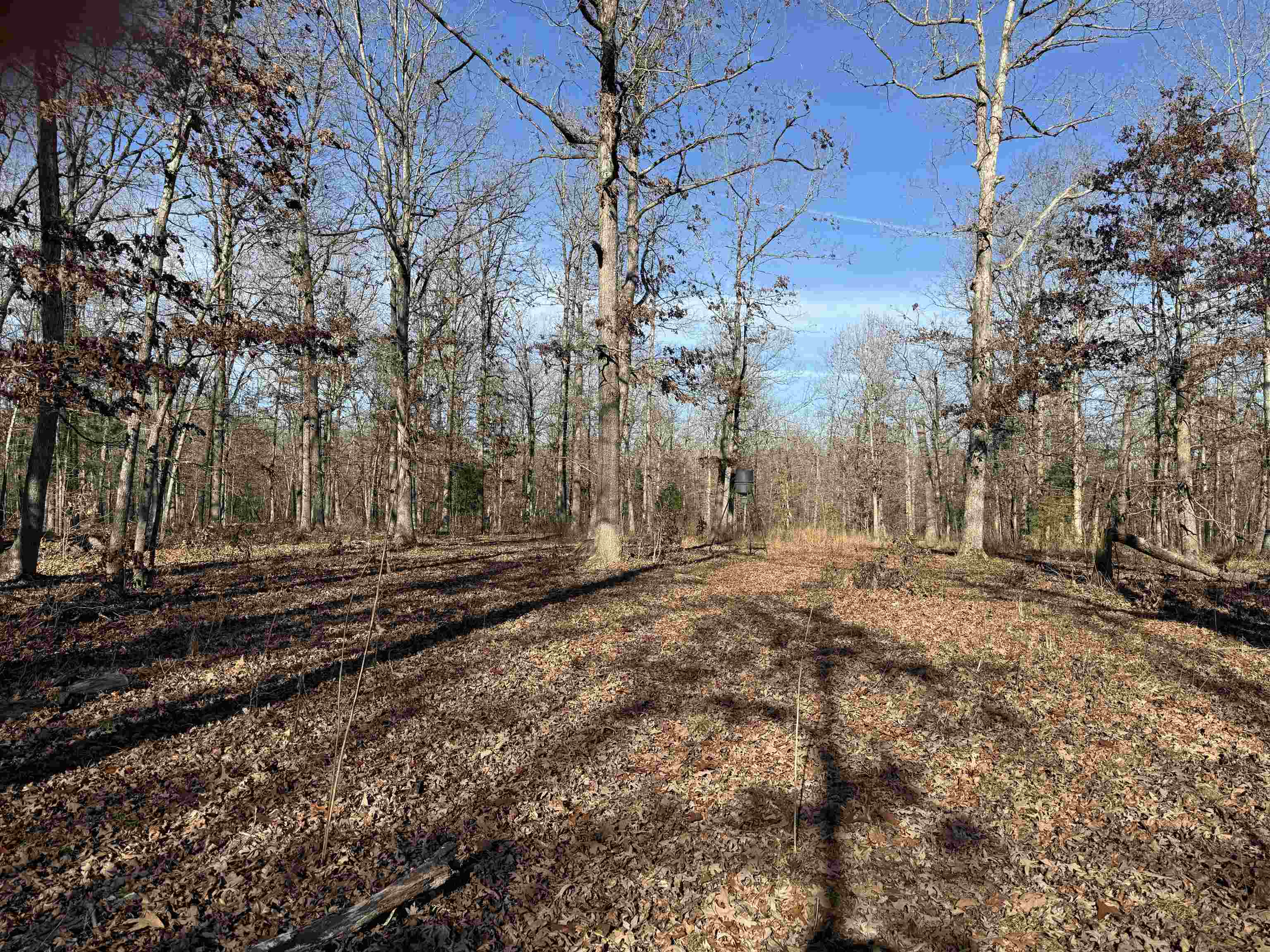 00 Hwy 63 Property Photo 11
