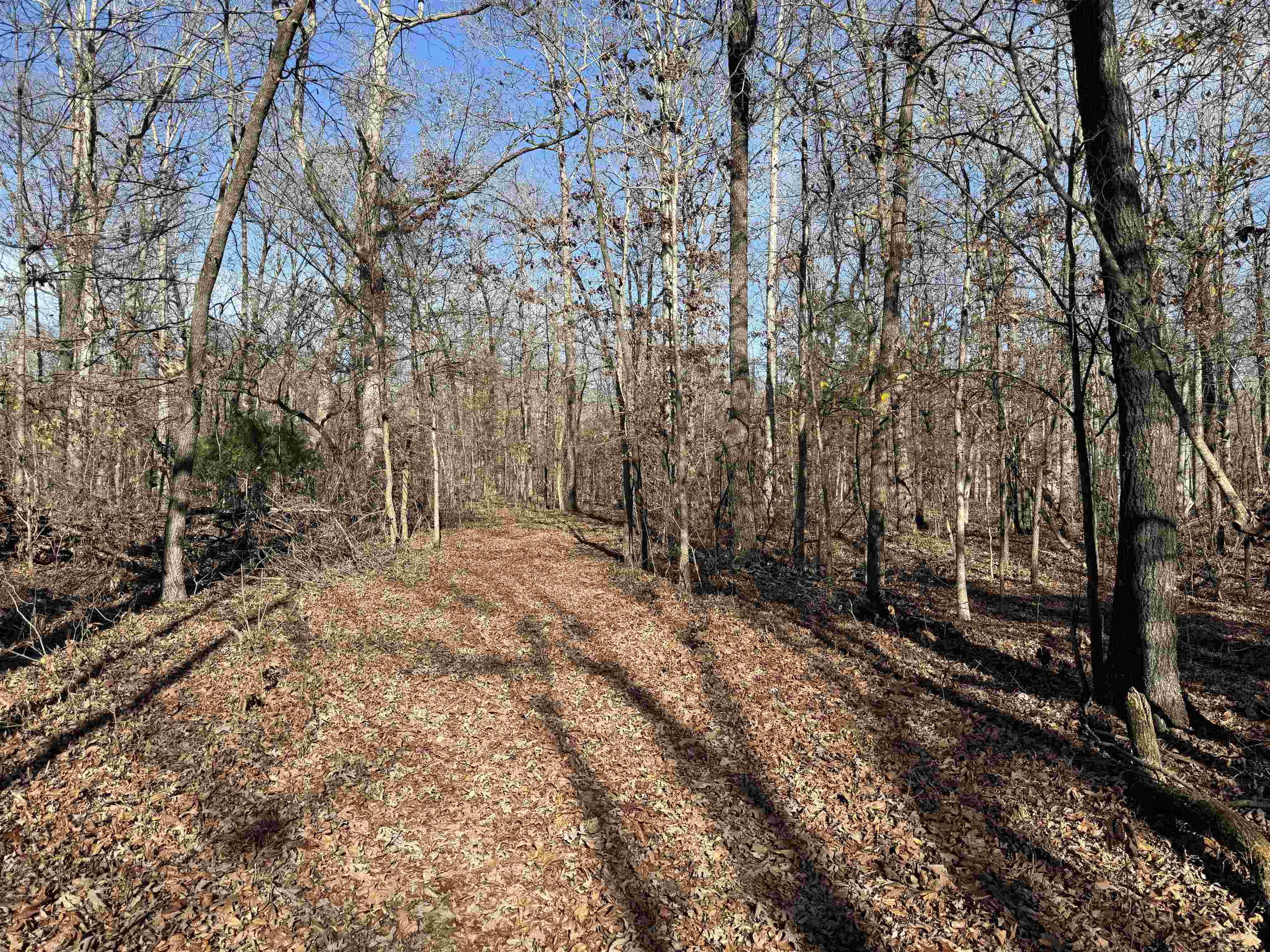 00 Hwy 63 Property Photo 12