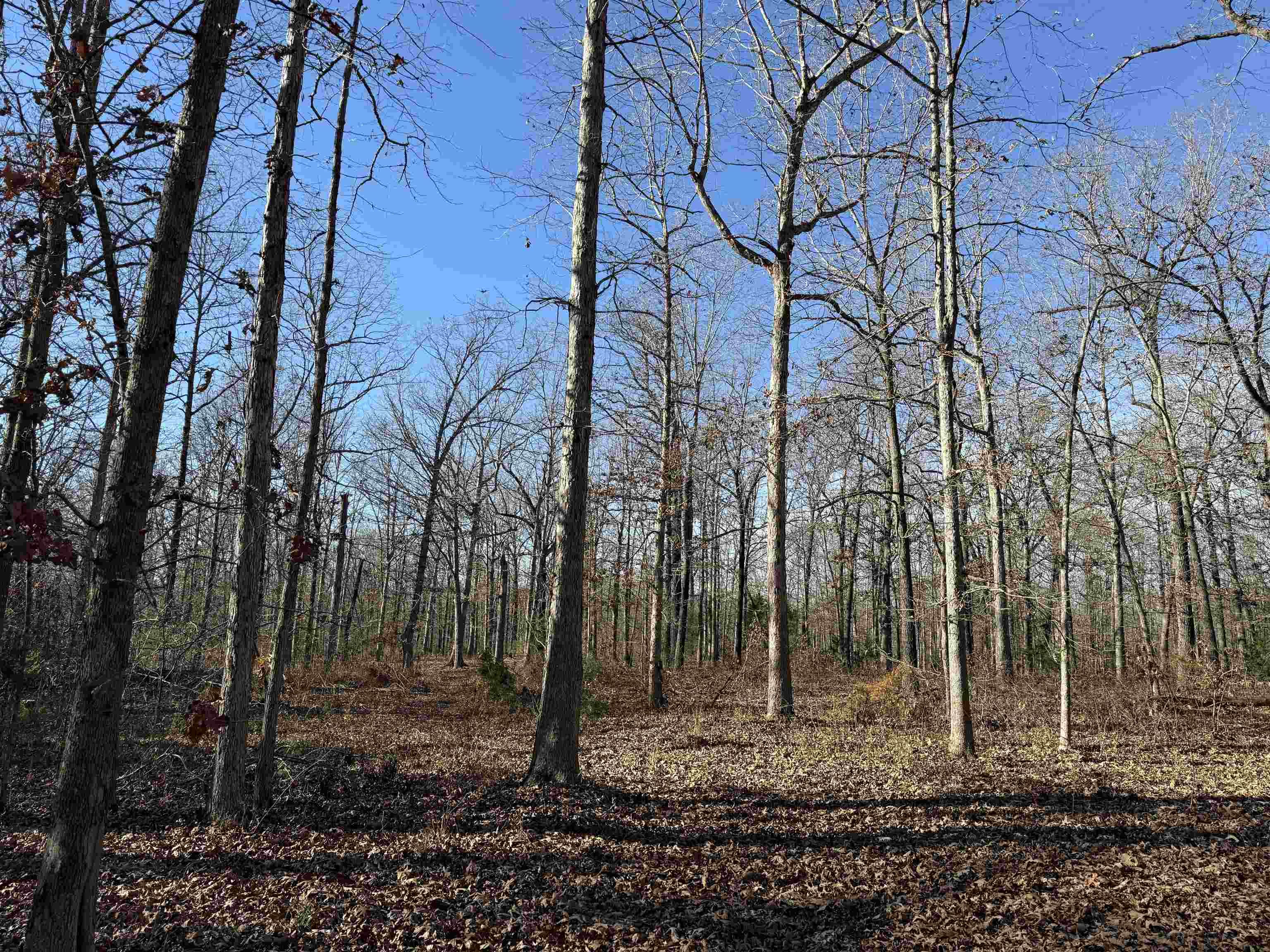 00 Hwy 63 Property Photo 14