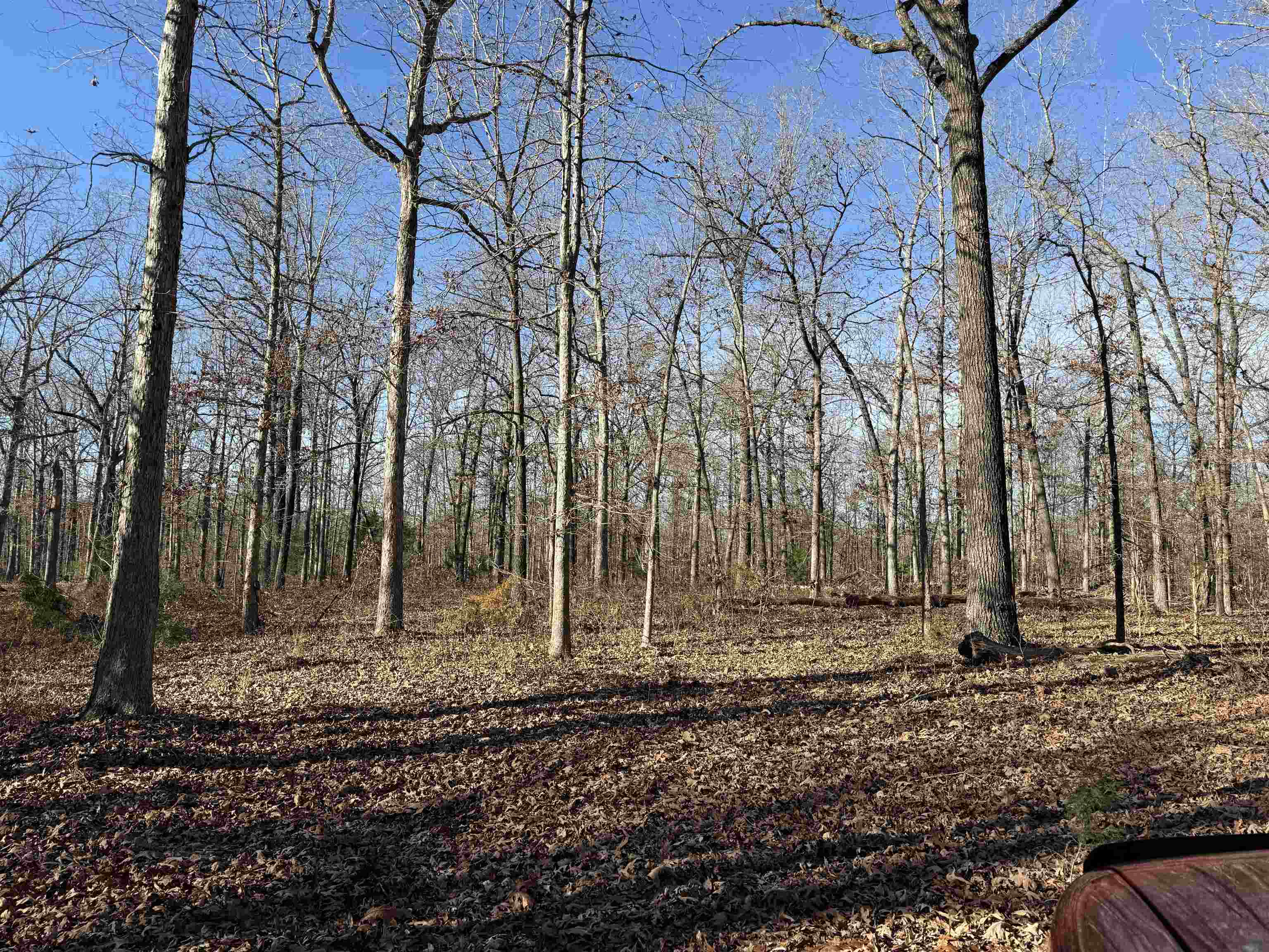 00 Hwy 63 Property Photo 16