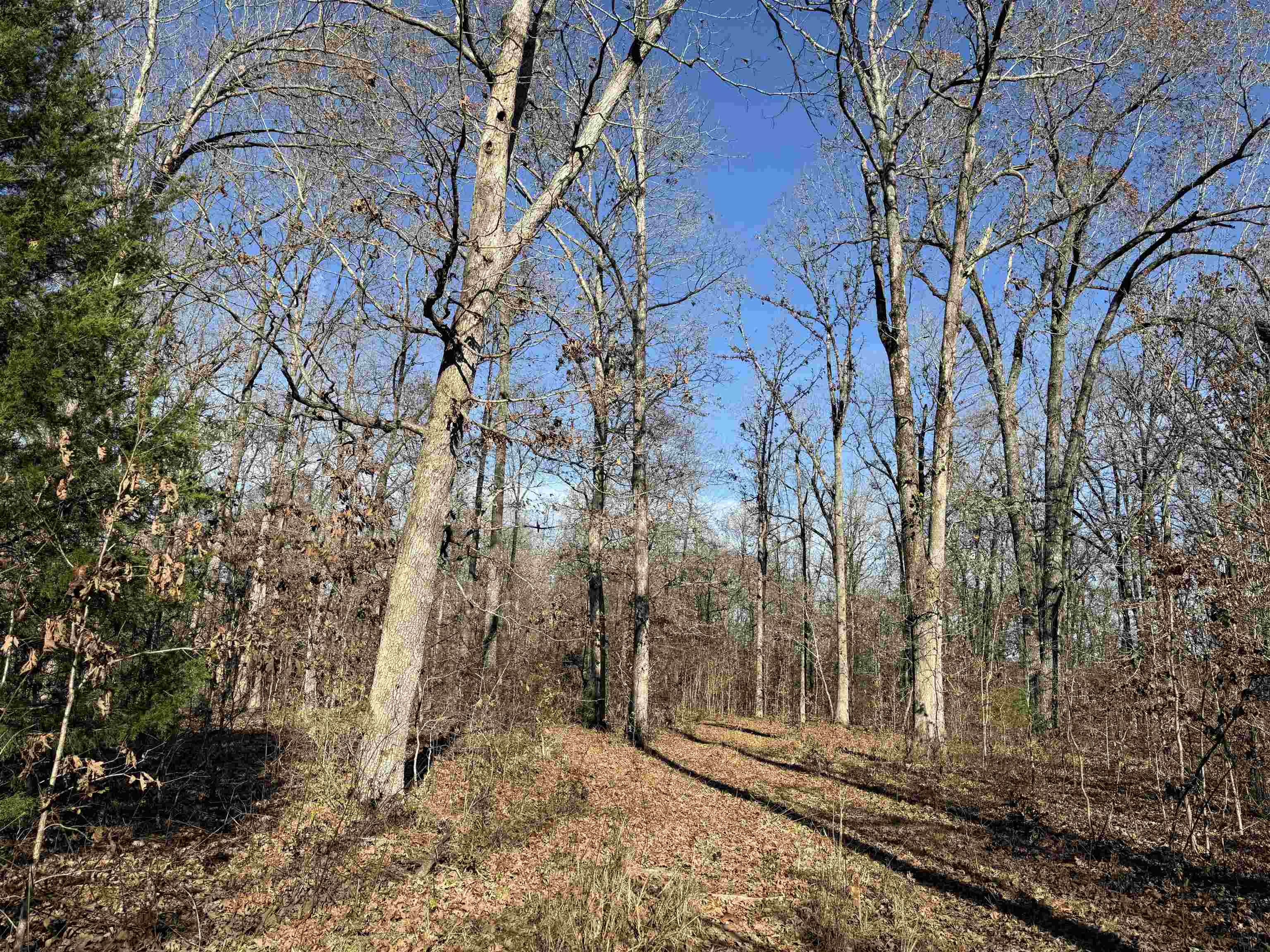00 Hwy 63 Property Photo 17