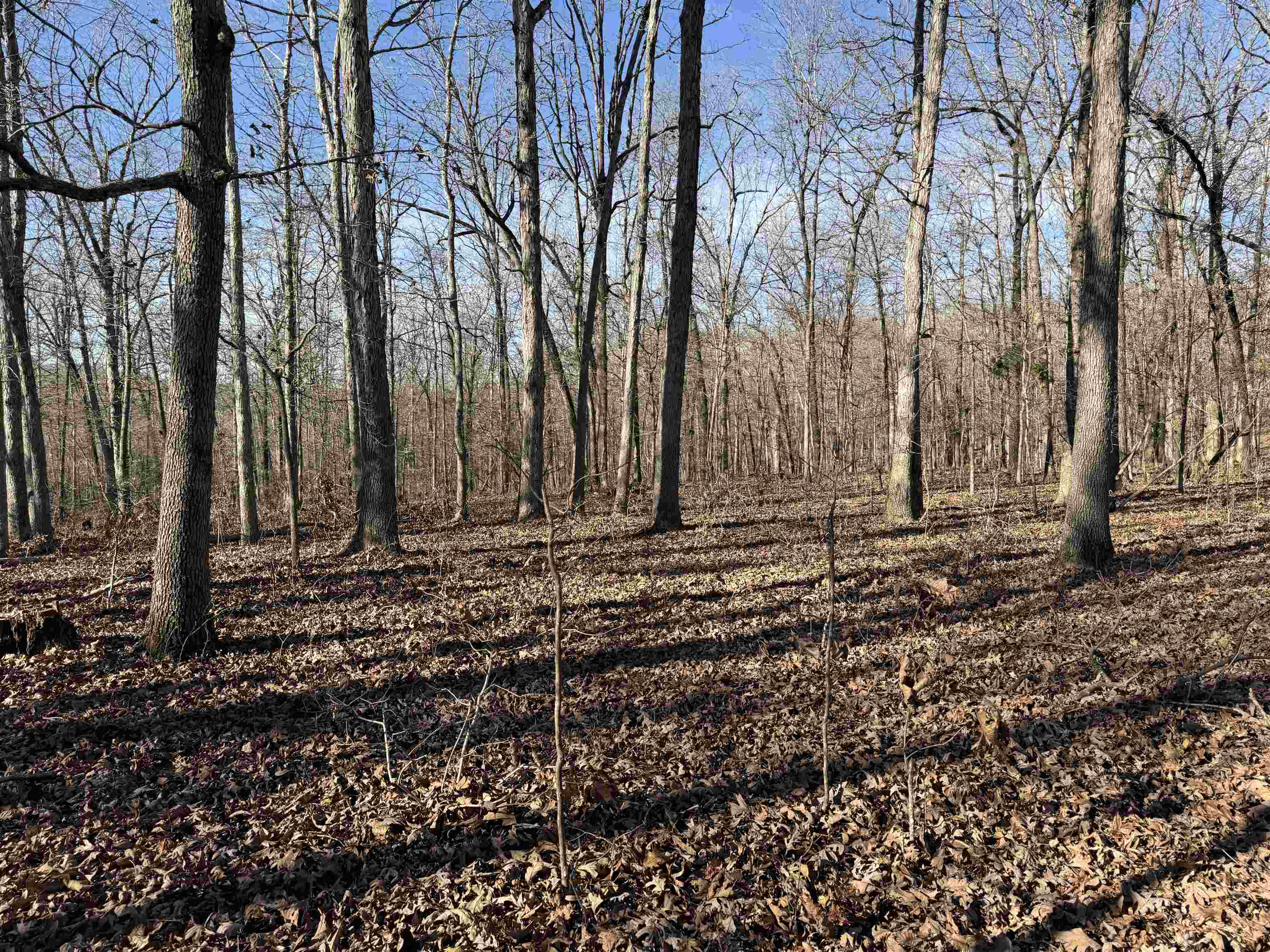 00 Hwy 63 Property Photo 18