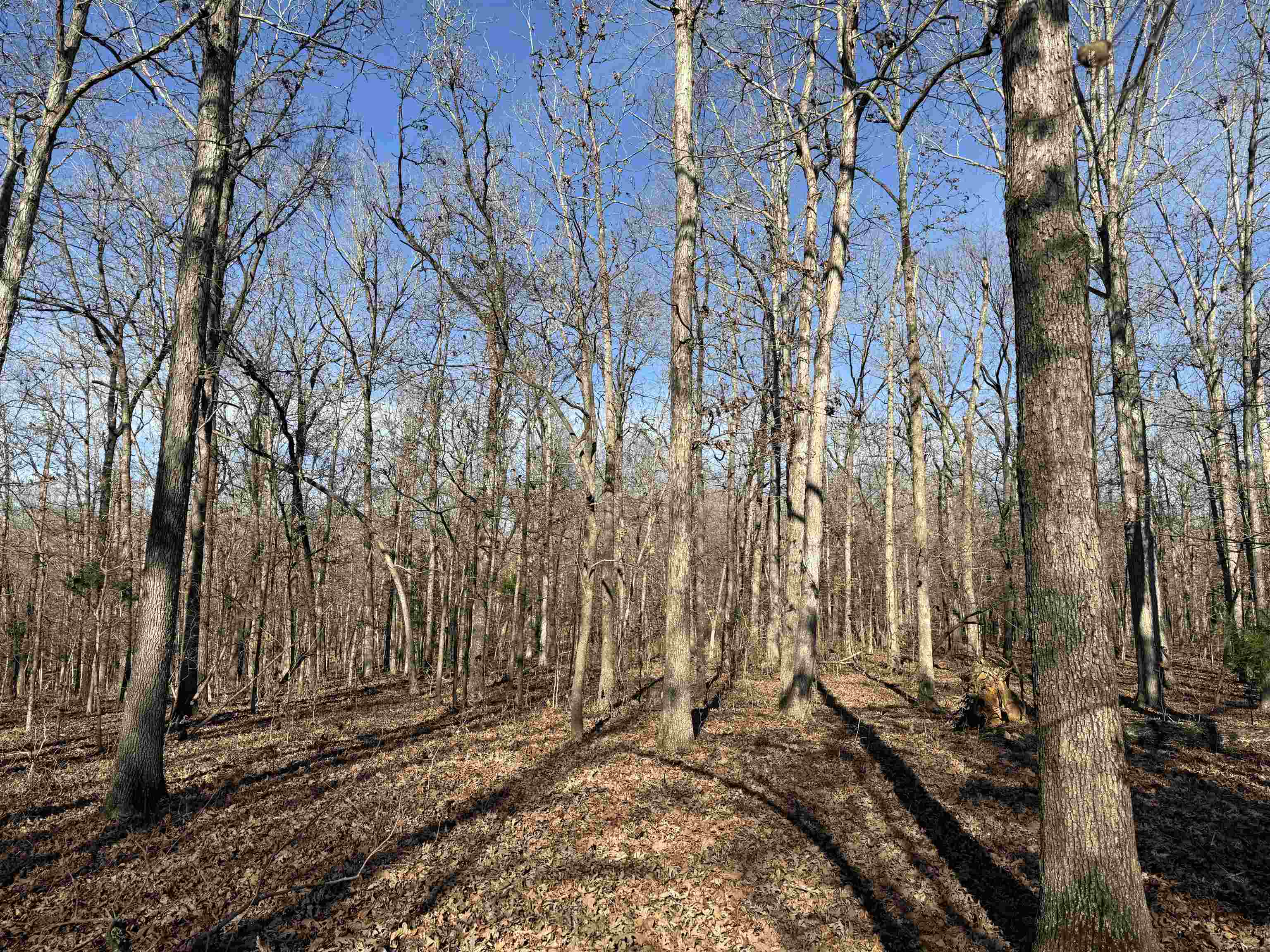 00 Hwy 63 Property Photo 19