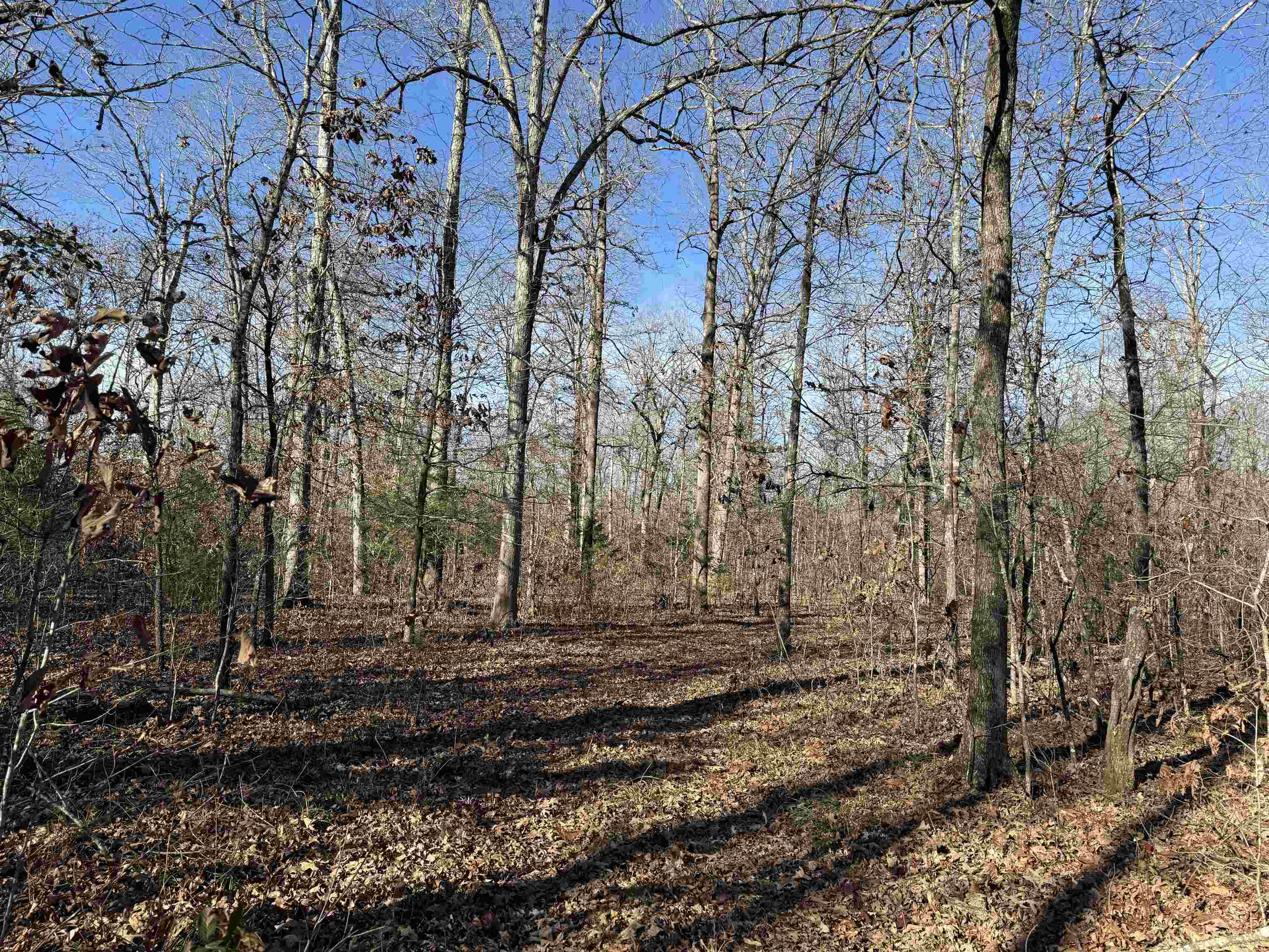 00 Hwy 63 Property Photo 20