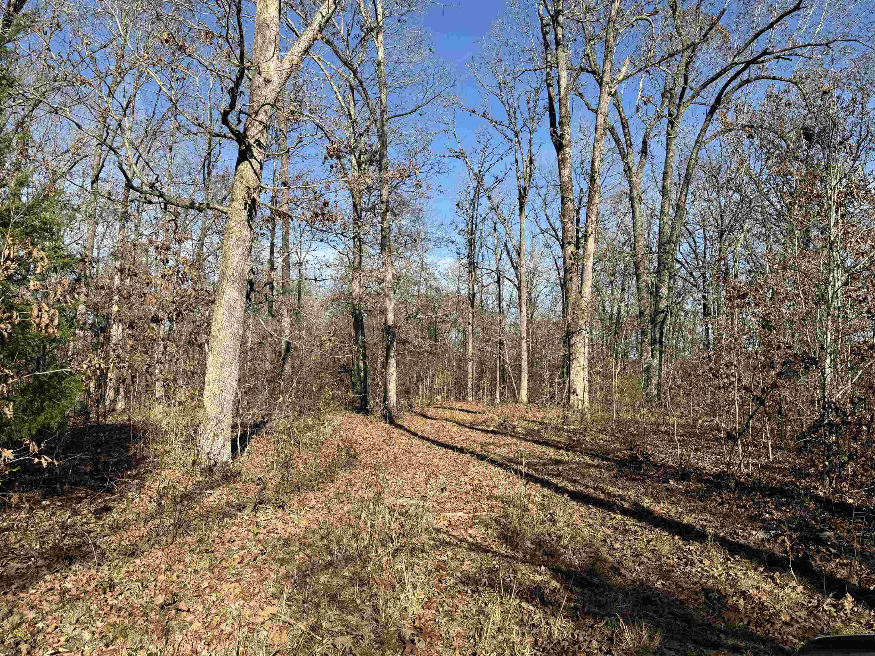00 Hwy 63 Property Photo 21