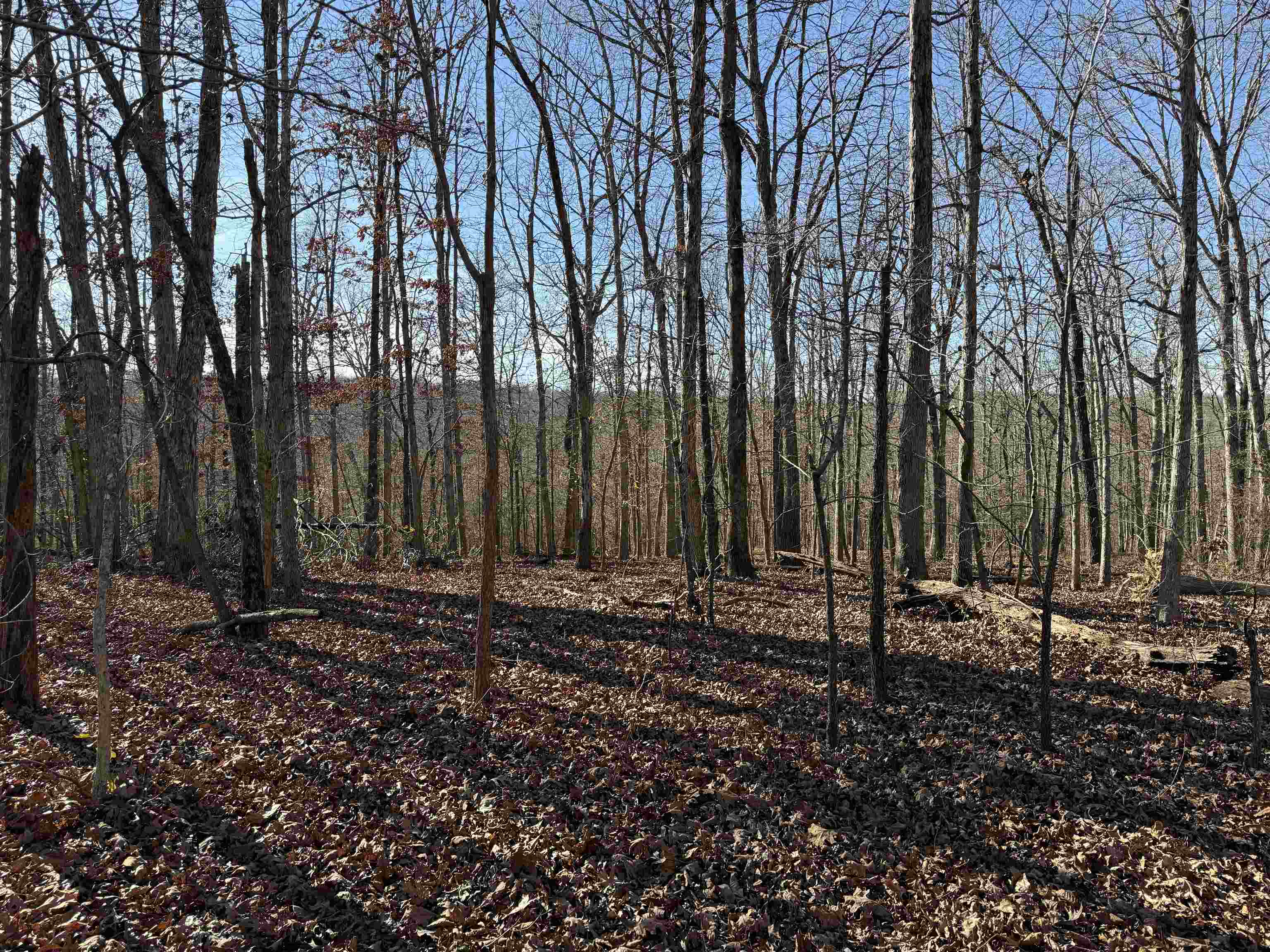 00 Hwy 63 Property Photo 23