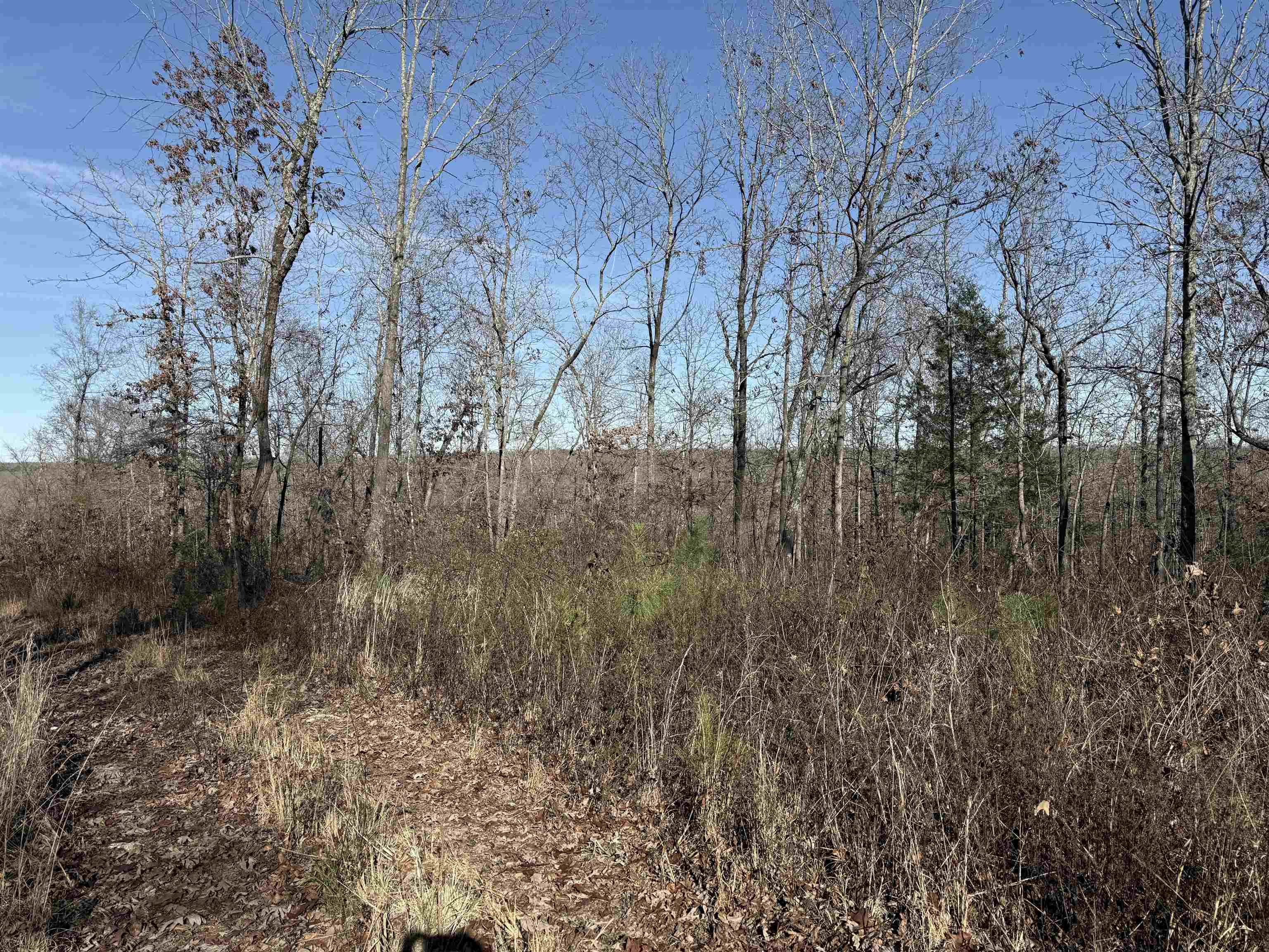 00 Hwy 63 Property Photo 24